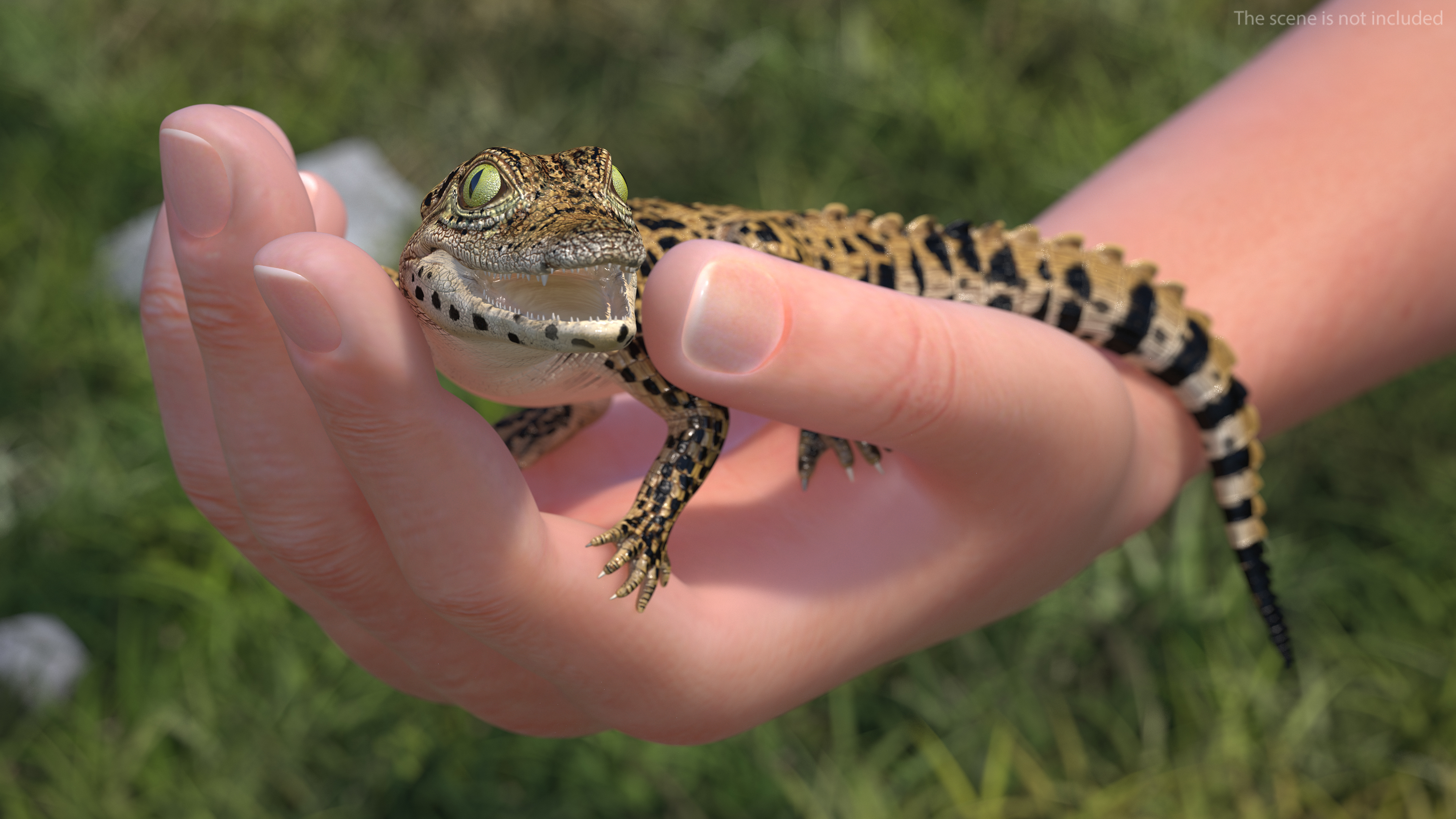 3D Baby Crocodile Man Hand model