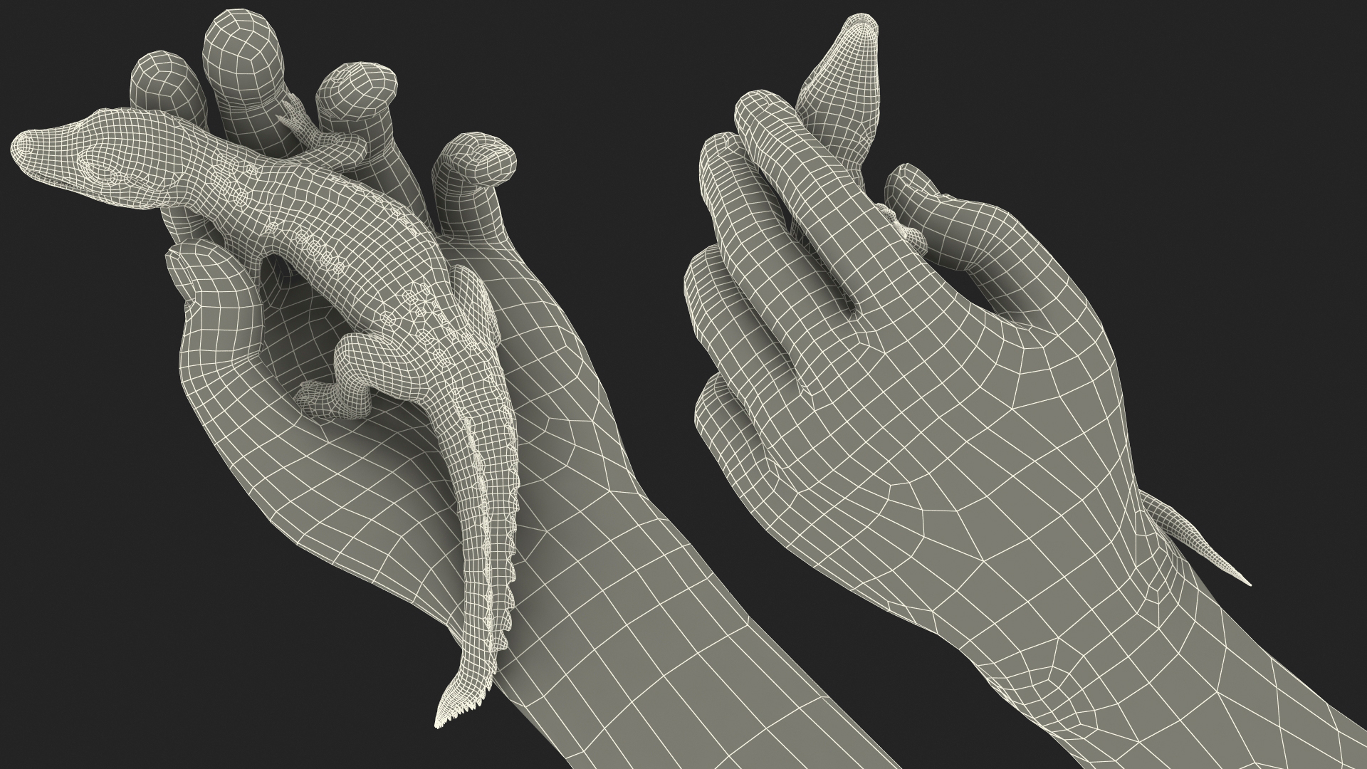 3D Baby Crocodile Man Hand model