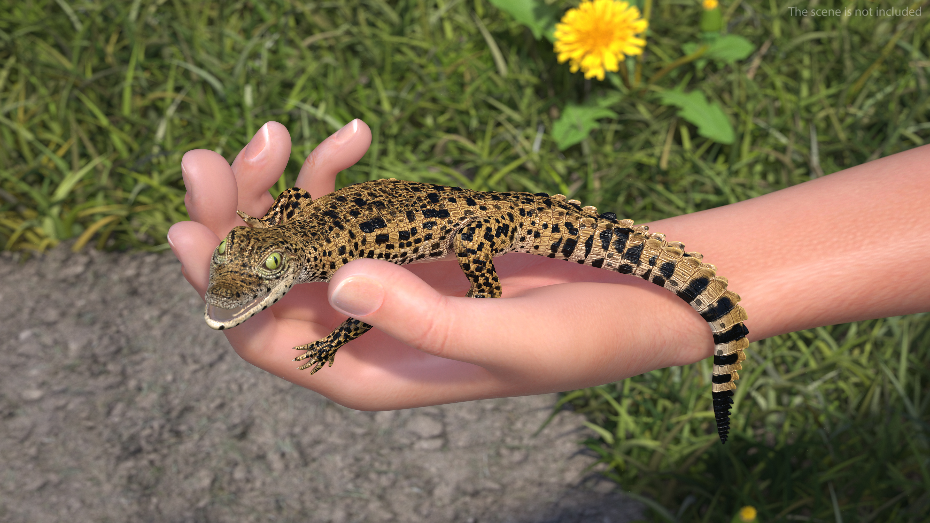 3D Baby Crocodile Man Hand model