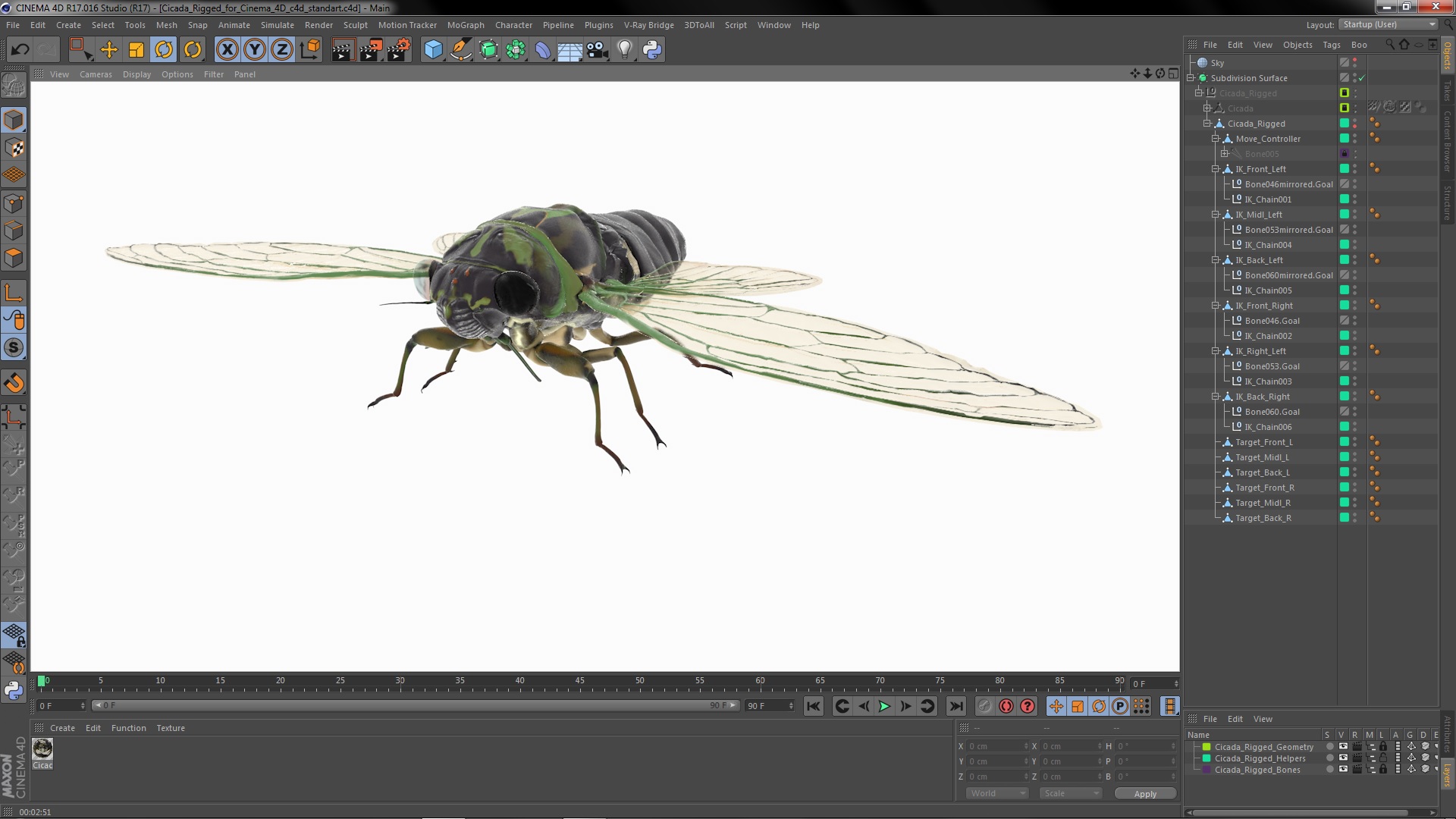 Cicada Rigged for Cinema 4D 3D