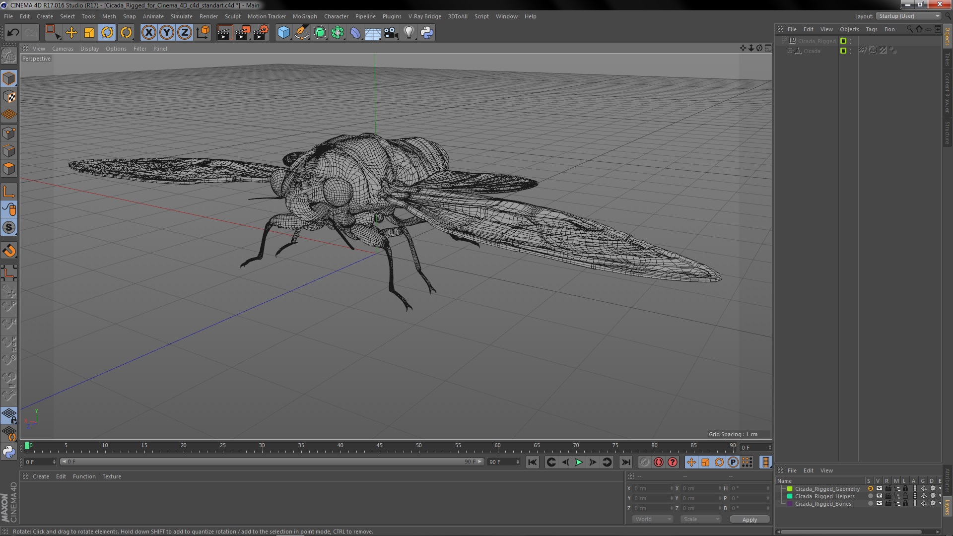 Cicada Rigged for Cinema 4D 3D