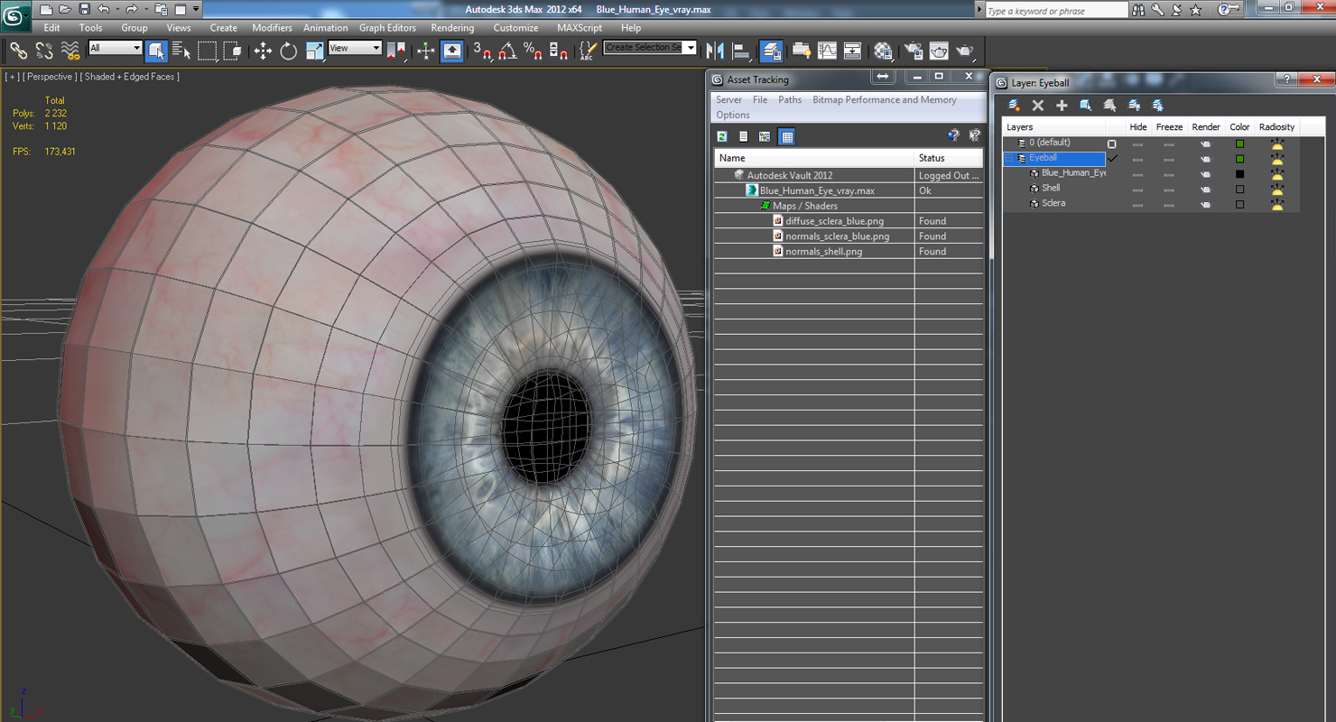 Blue Human Eye 3D model