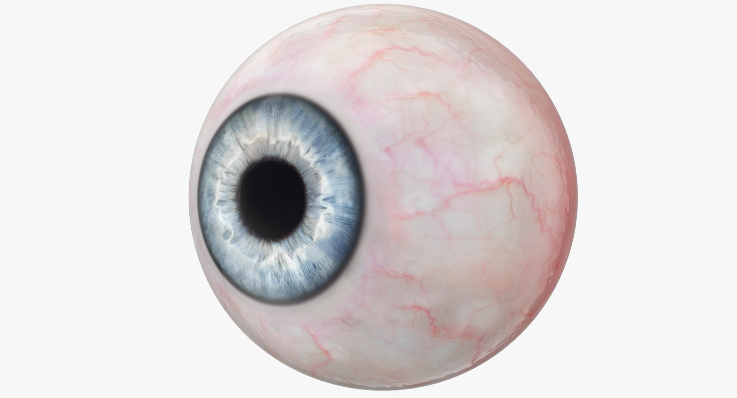 Blue Human Eye 3D model