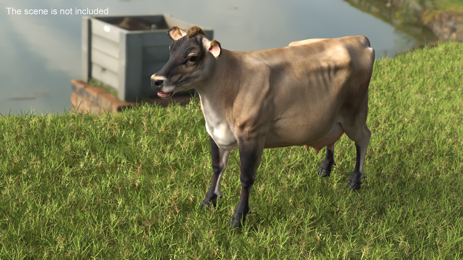 3D model Jersey Dairy Cow Fur