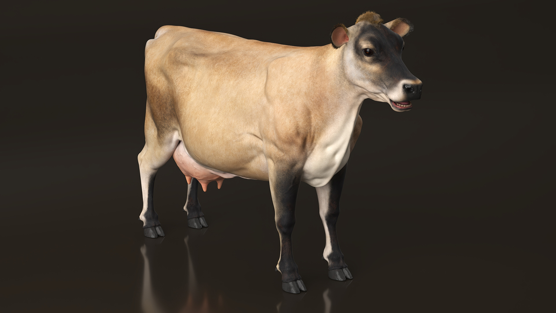 3D model Jersey Dairy Cow Fur