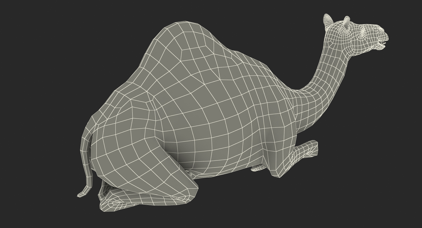 3D Camel Rigged with Fur