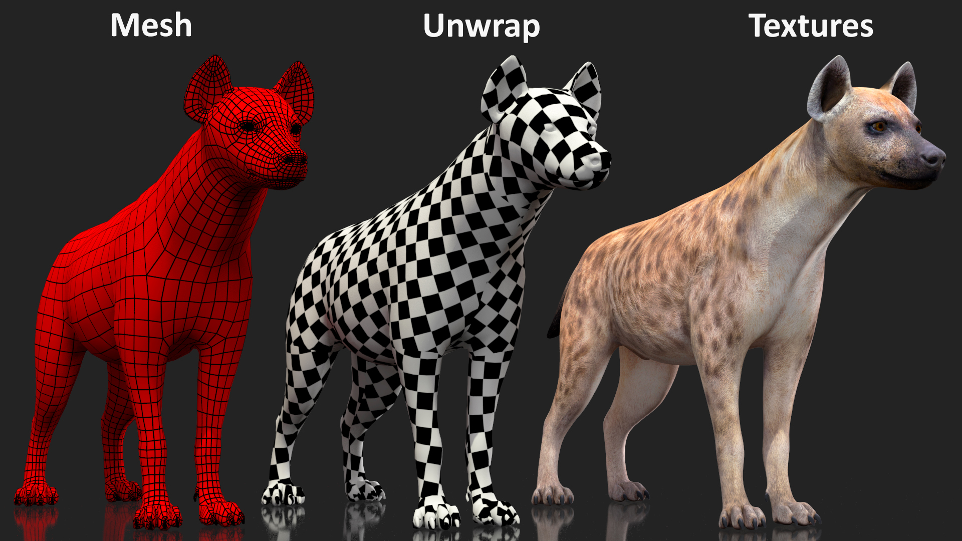 Hyena 3D model