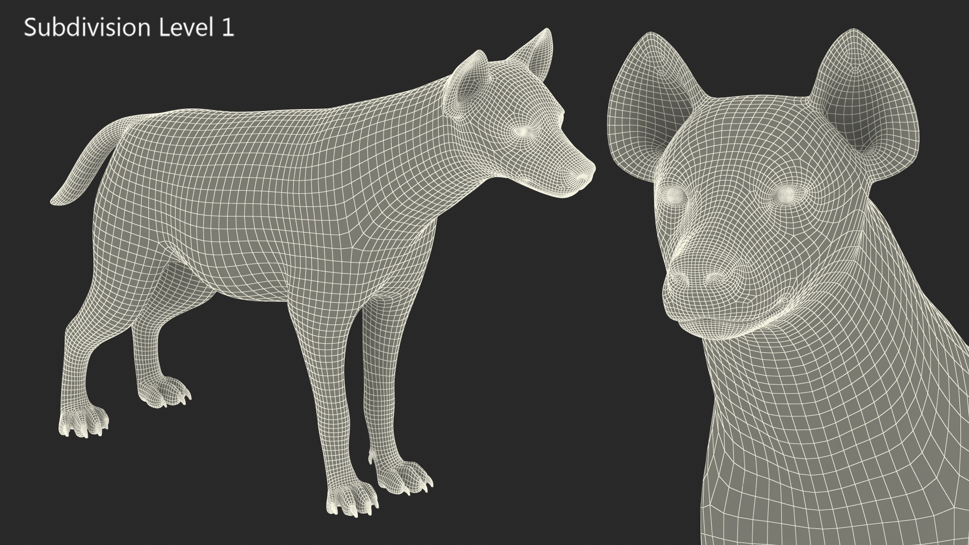 Hyena 3D model