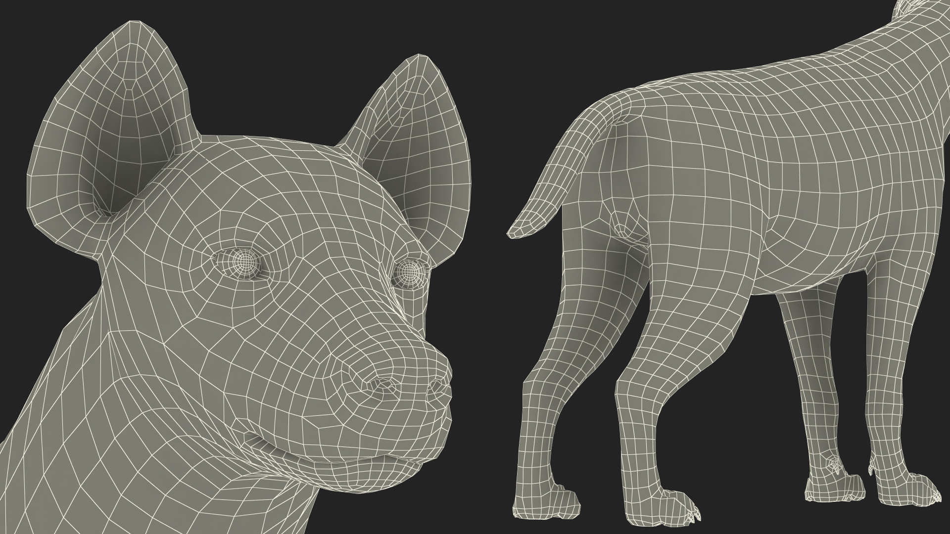 Hyena 3D model