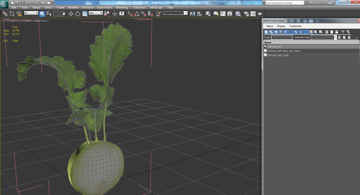 3D model Kohlrabi or German Turnip Half