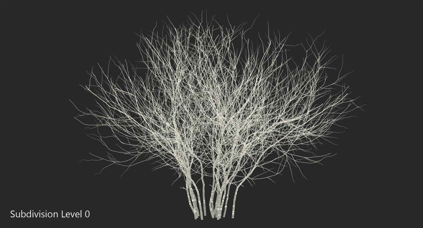 3D Winter Bush