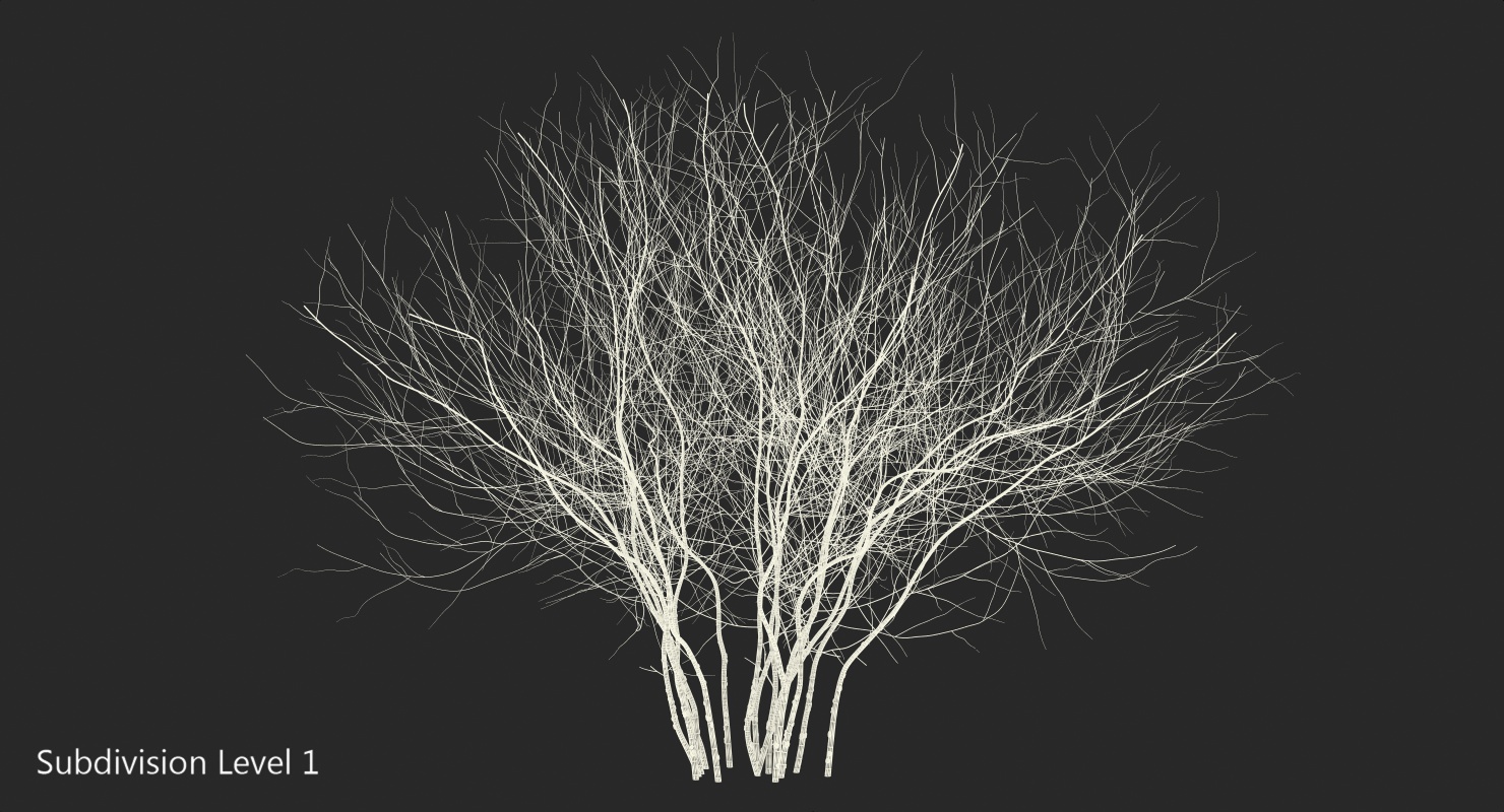 3D Winter Bush