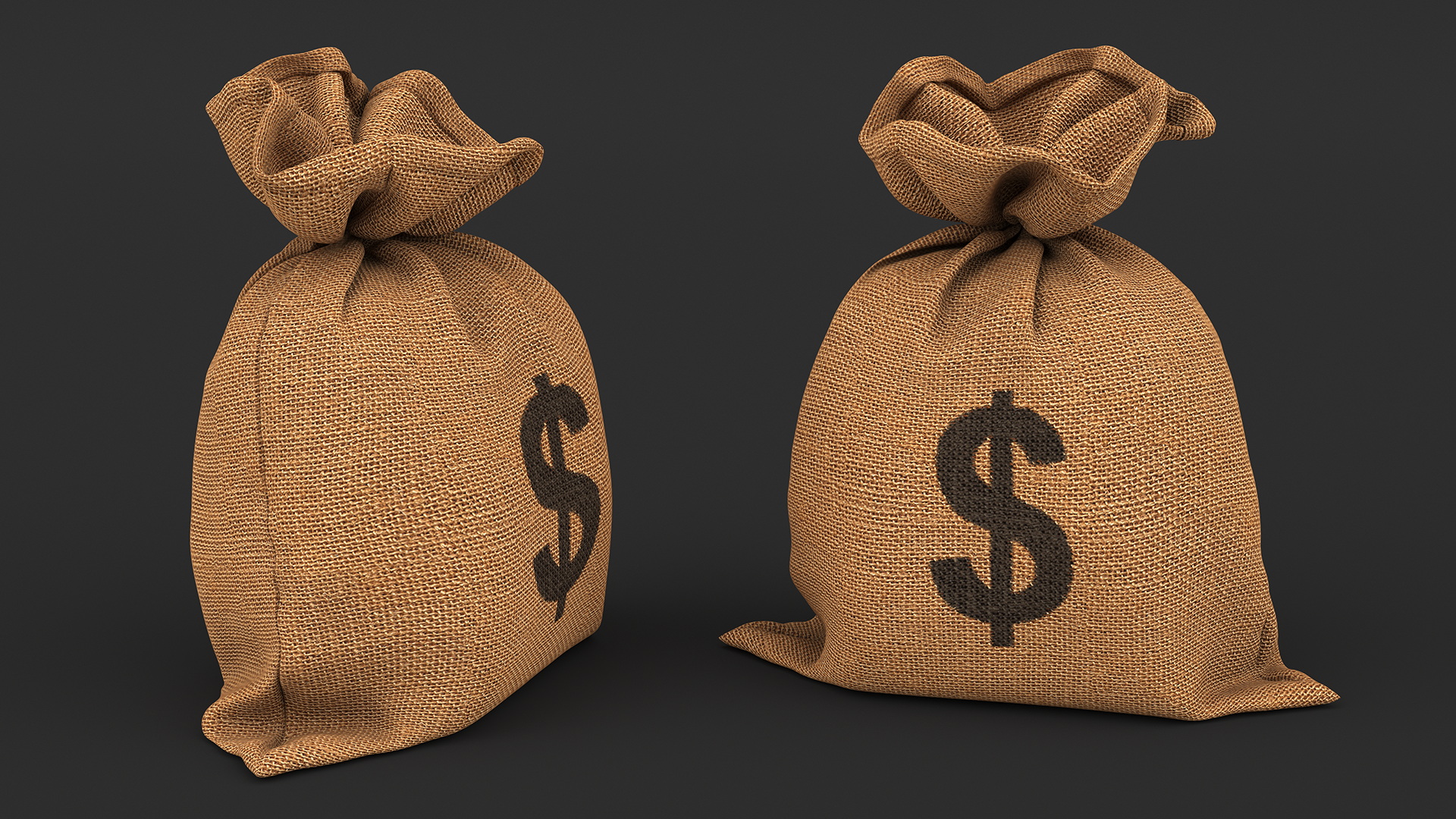 Money Sack with Dollar Symbol 3D model