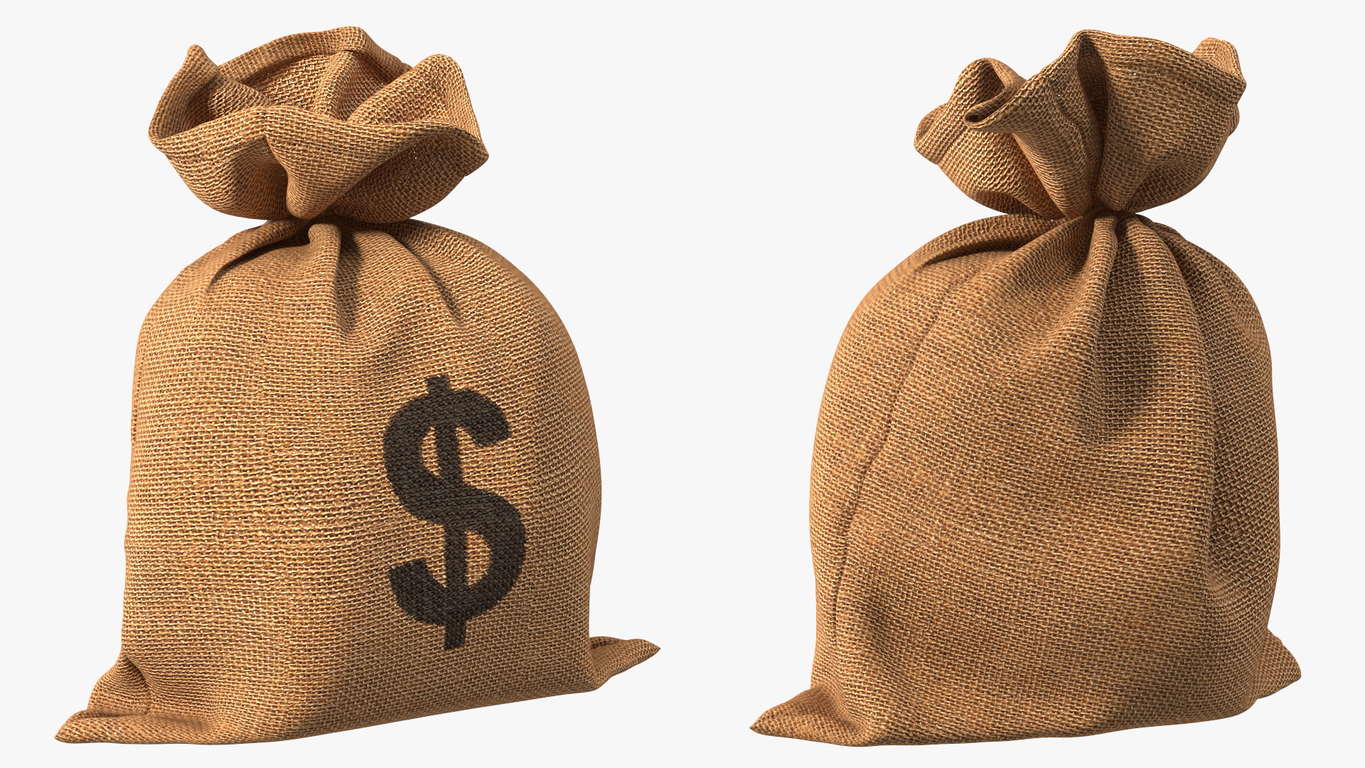 Money Sack with Dollar Symbol 3D model