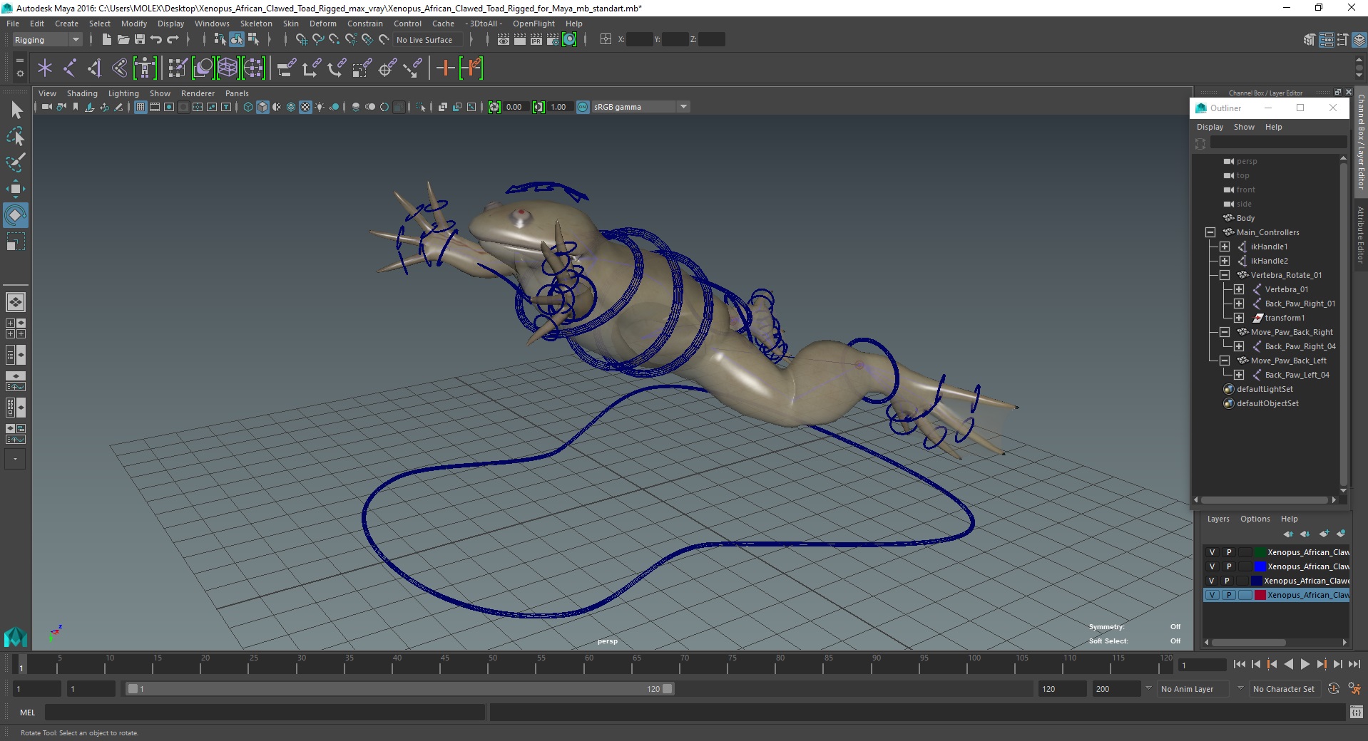 3D Xenopus African Clawed Toad Rigged for Maya model