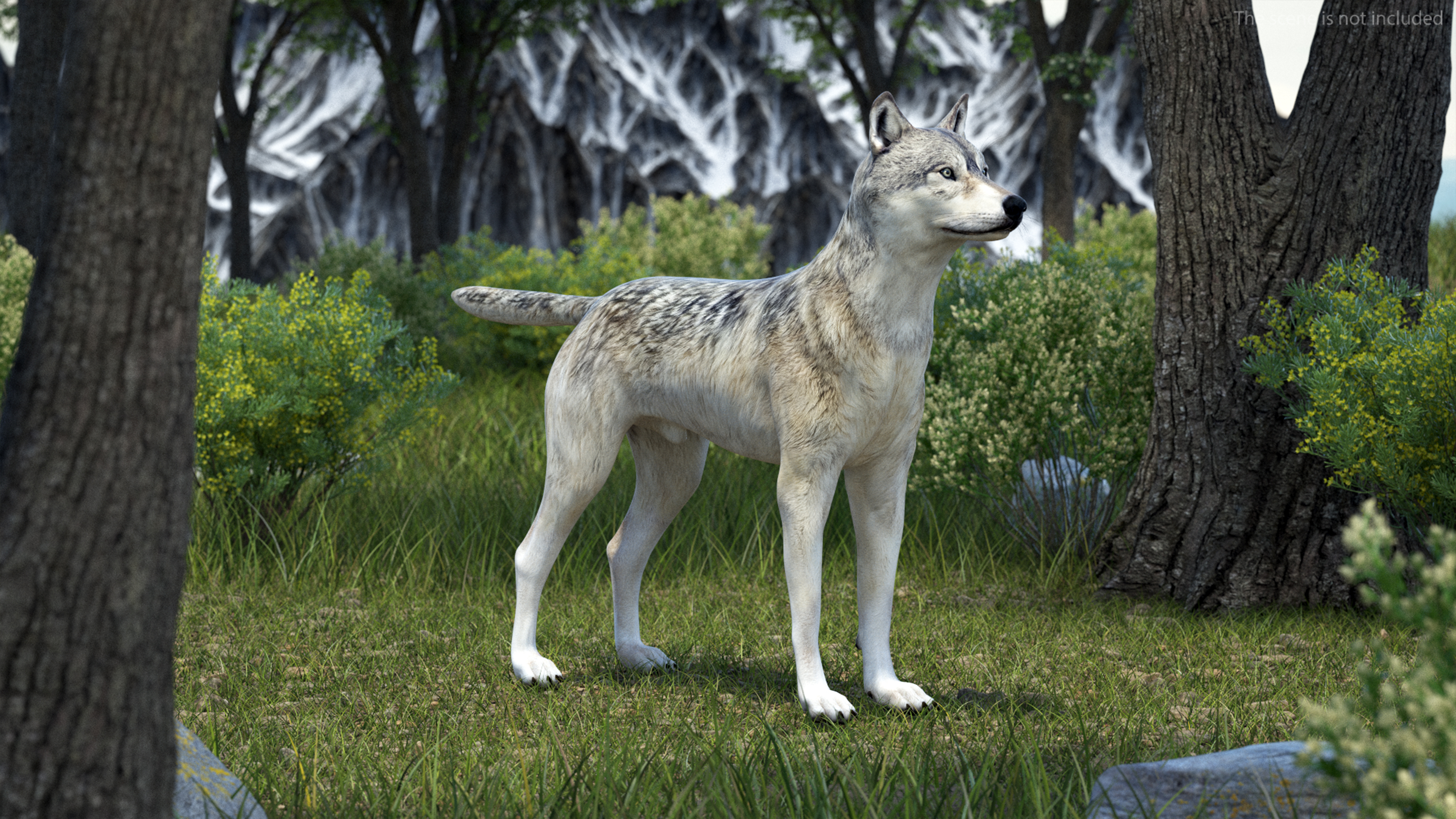 3D Timber Wolf