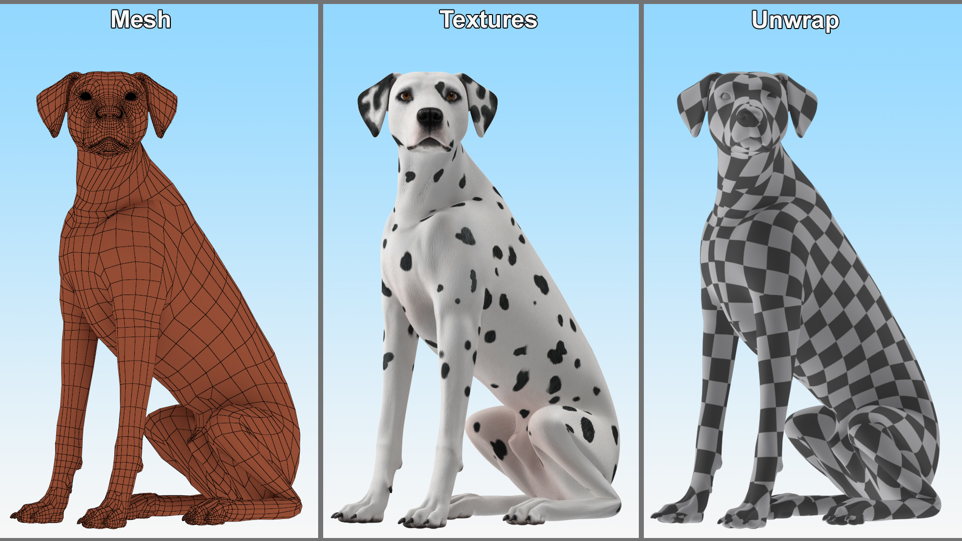 3D Dalmatian Dog Sitting Pose