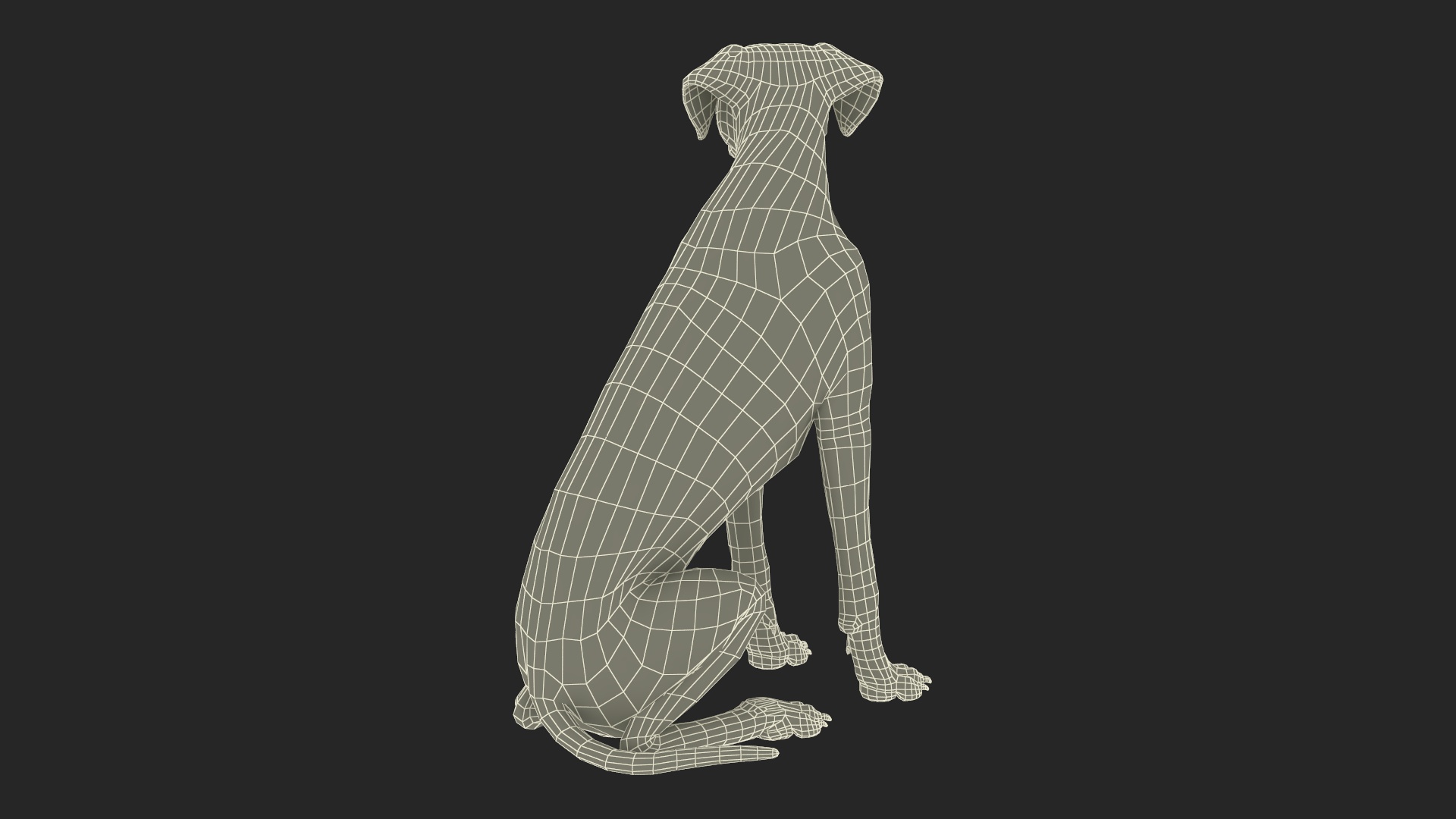 3D Dalmatian Dog Sitting Pose