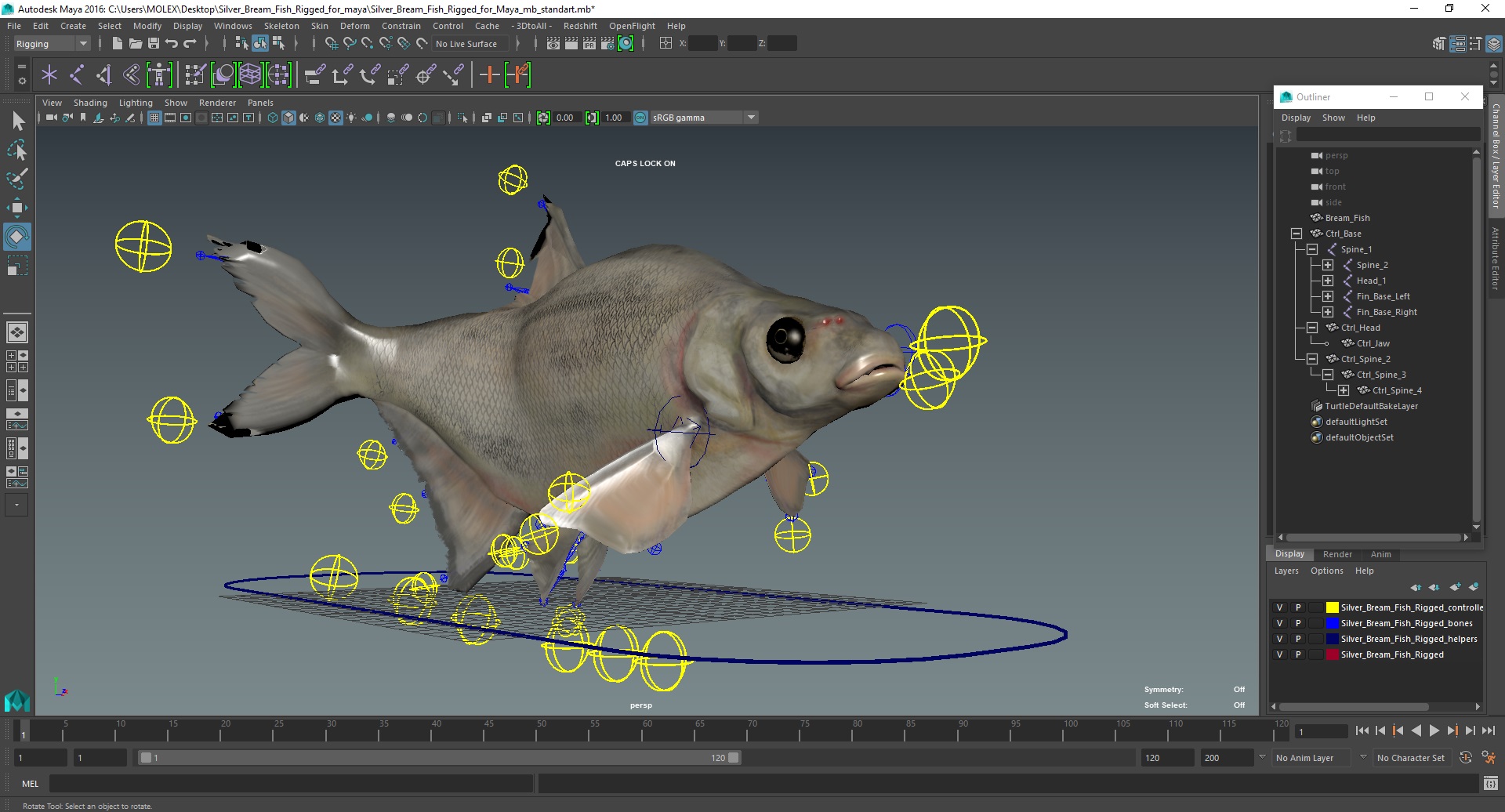 3D Silver Bream Fish Rigged for Maya model