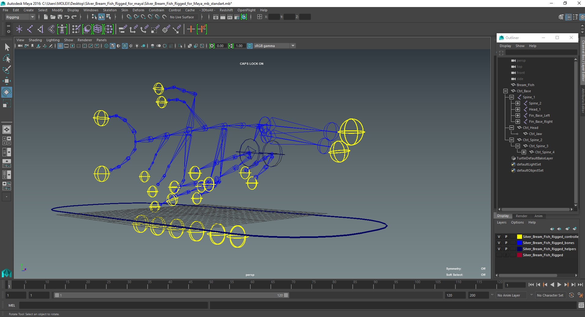 3D Silver Bream Fish Rigged for Maya model