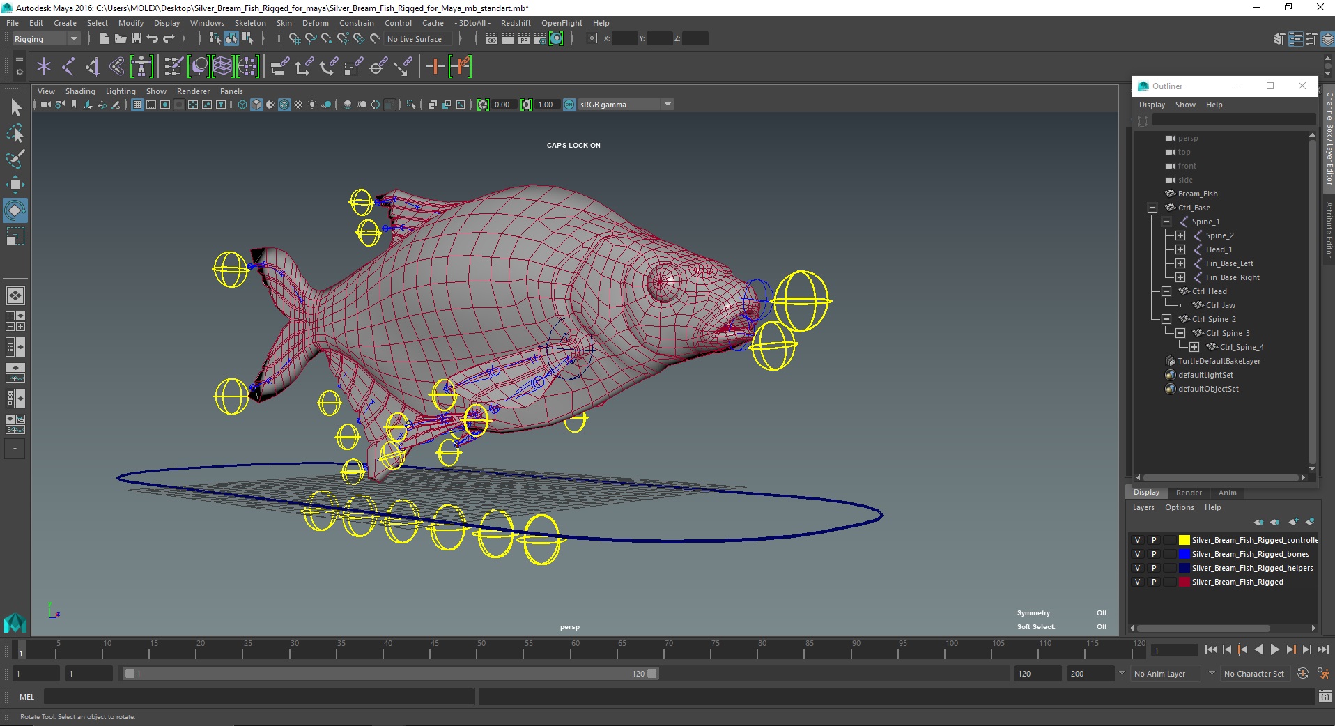 3D Silver Bream Fish Rigged for Maya model