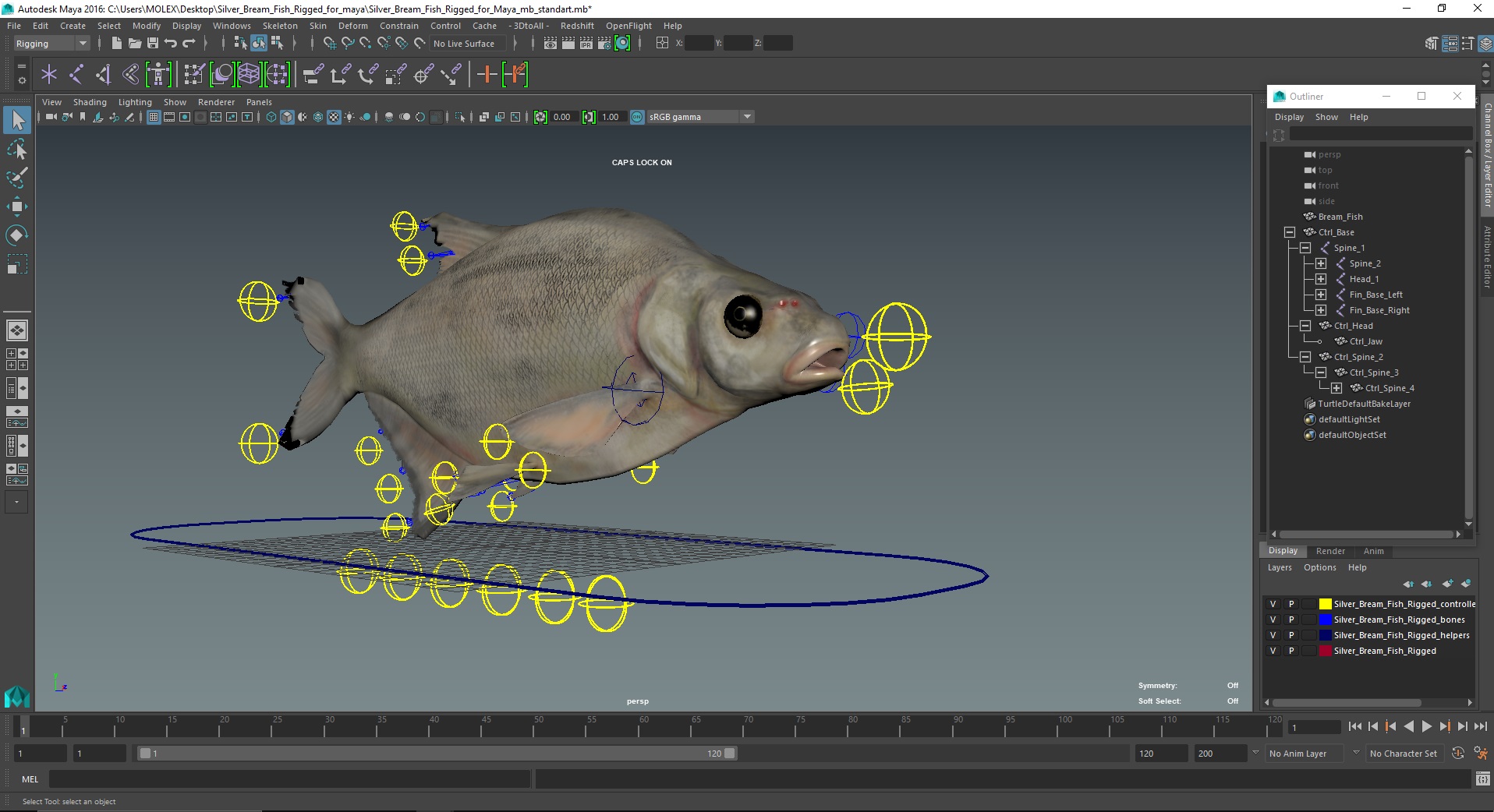 3D Silver Bream Fish Rigged for Maya model