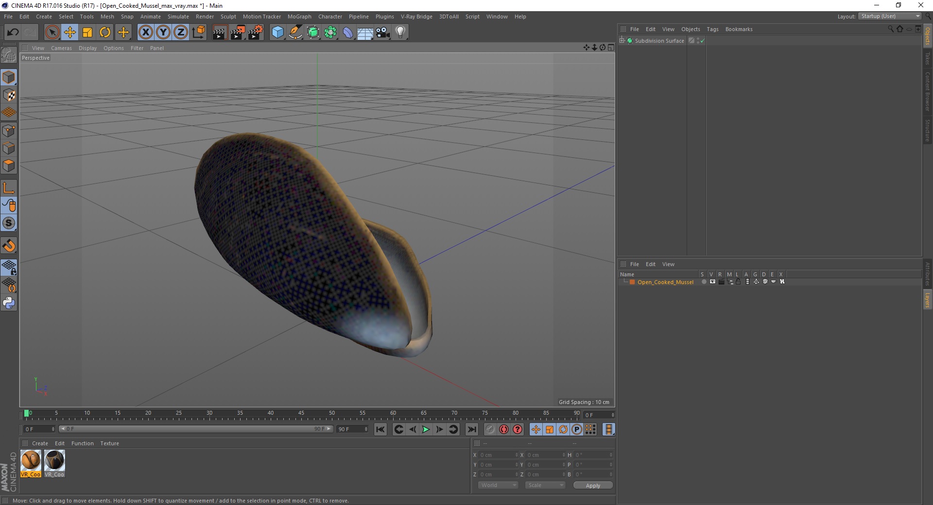 3D Open Cooked Mussel model