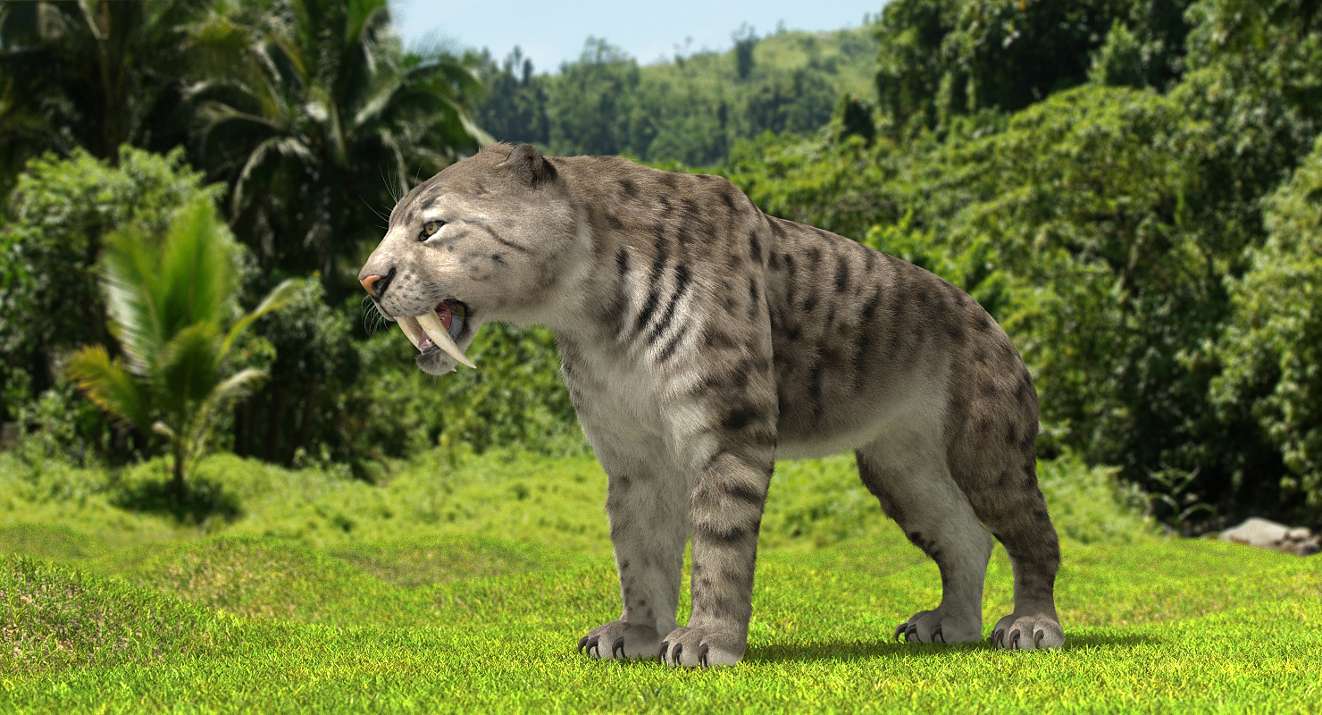 3D Arctic Saber Tooth Cat with Fur