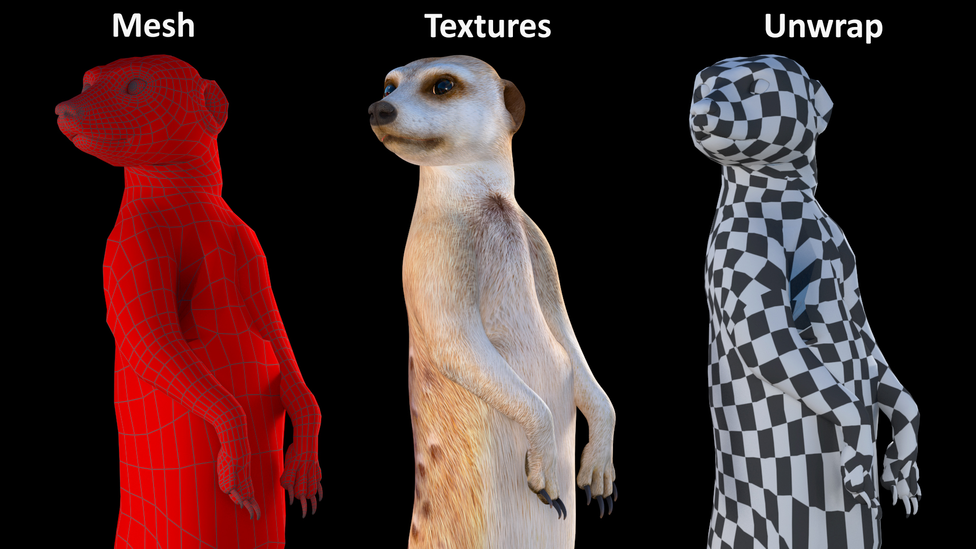 3D Meerkat Standing Pose