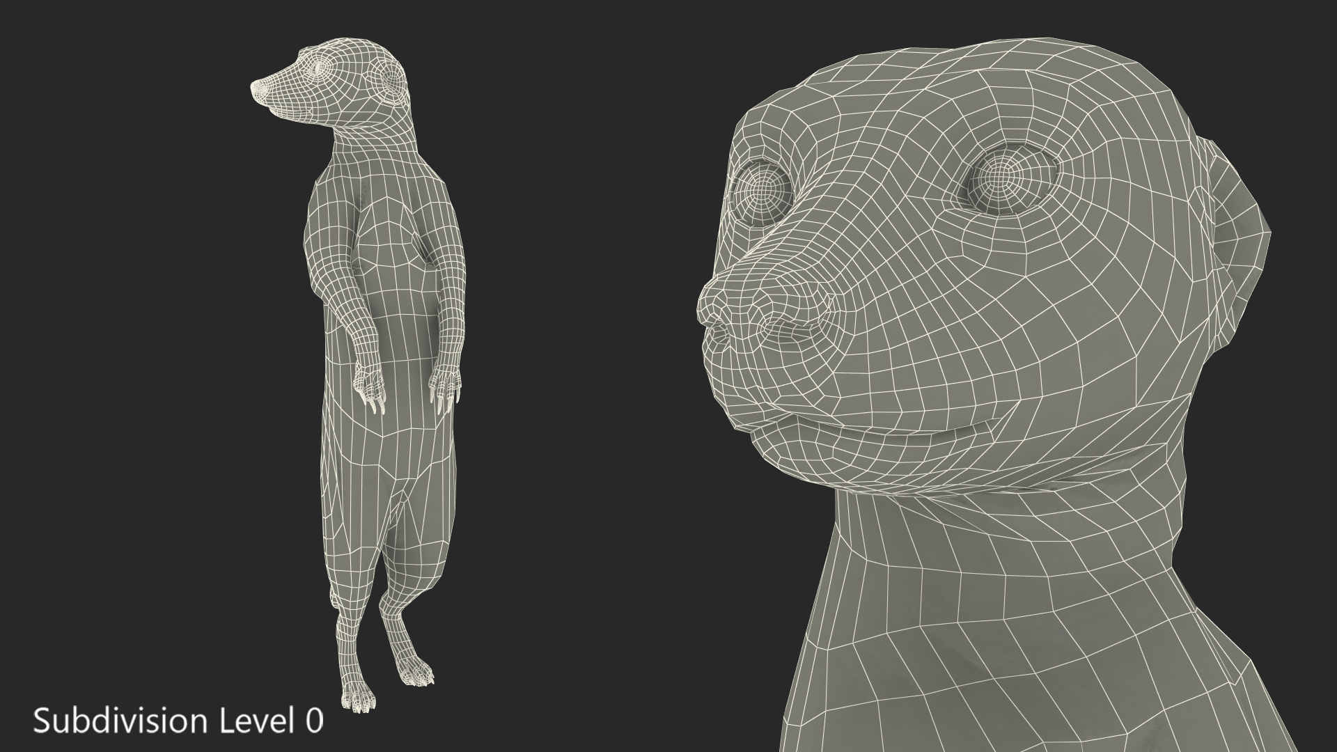 3D Meerkat Standing Pose