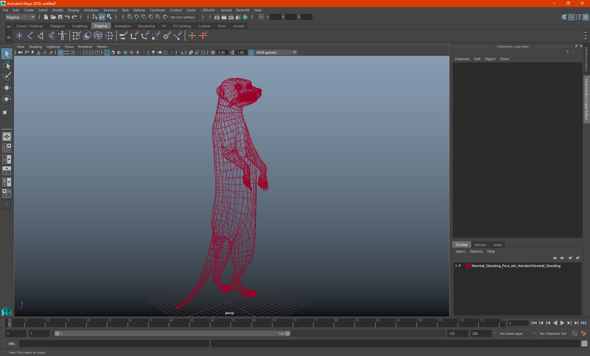 3D Meerkat Standing Pose