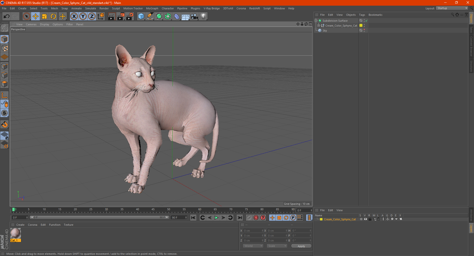 Cream Color Sphynx Cat 3D