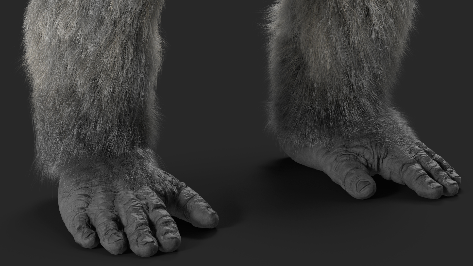 Western Gorilla Base Pose Fur 3D model