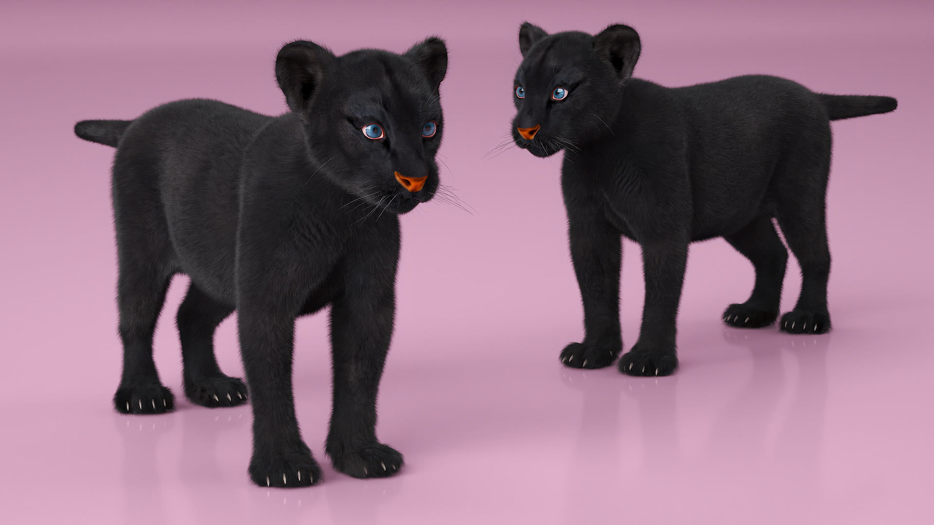 3D model Black Panther Cub Standing Pose with Fur