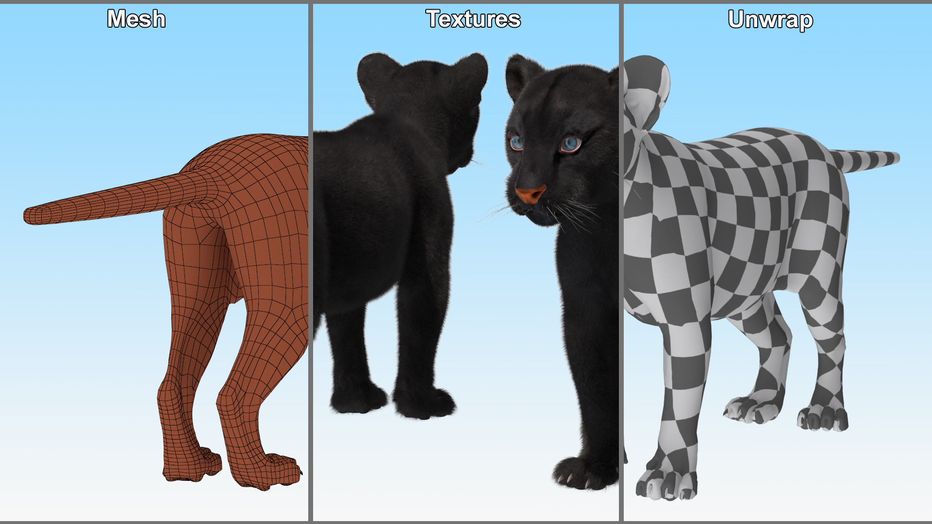 3D model Black Panther Cub Standing Pose with Fur