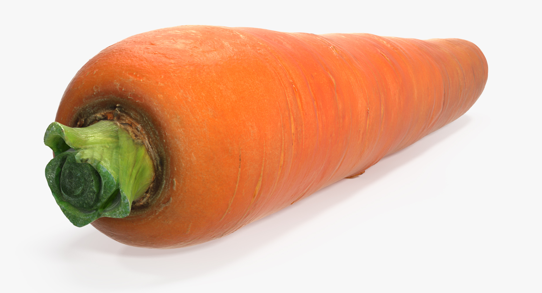 3D model Carrot