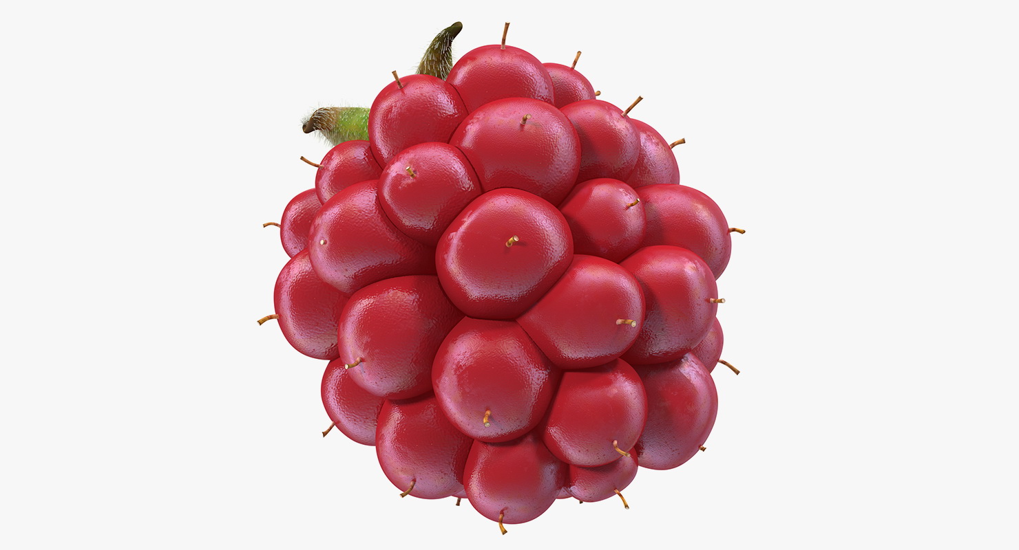 Not Ripe Berry Blackberry with Fur 3D model