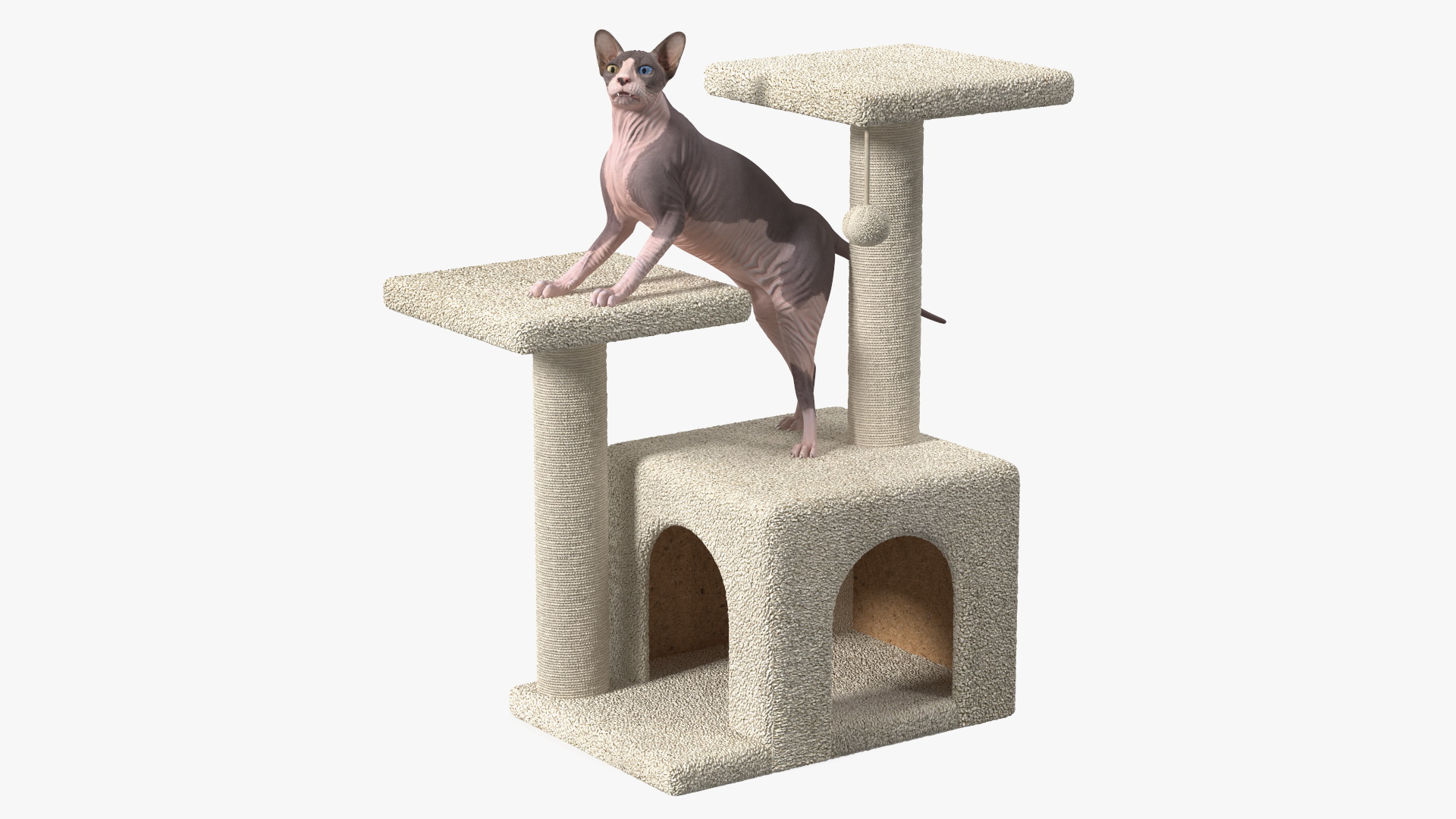 3D model Cat Tree 3-Level with Cat