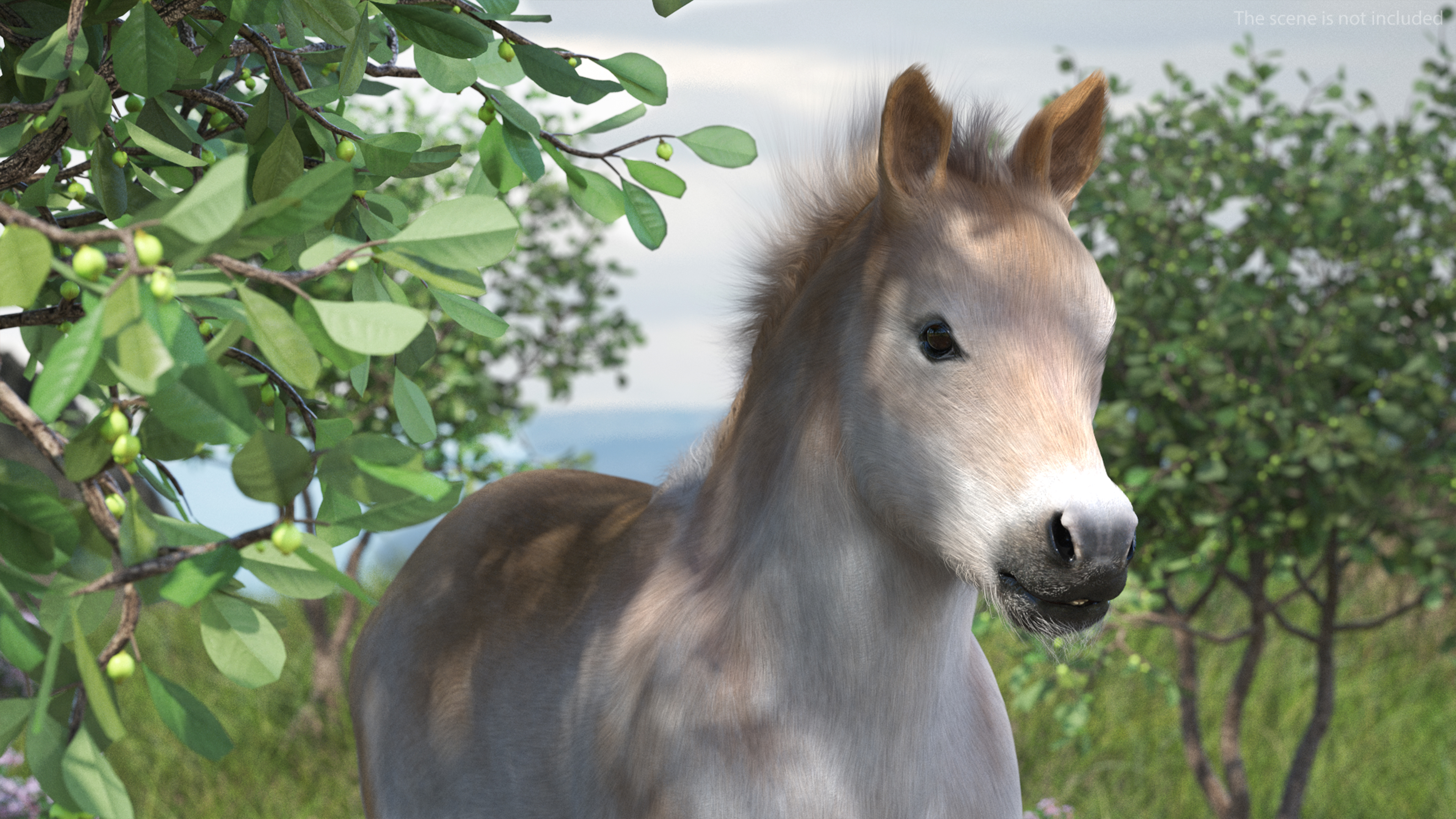 Realistic Shetland Pony Fur 3D