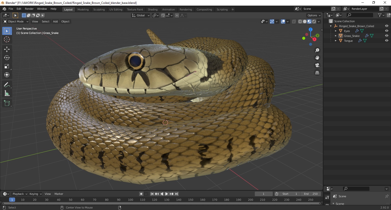 3D model Ringed Snake Brown Coiled