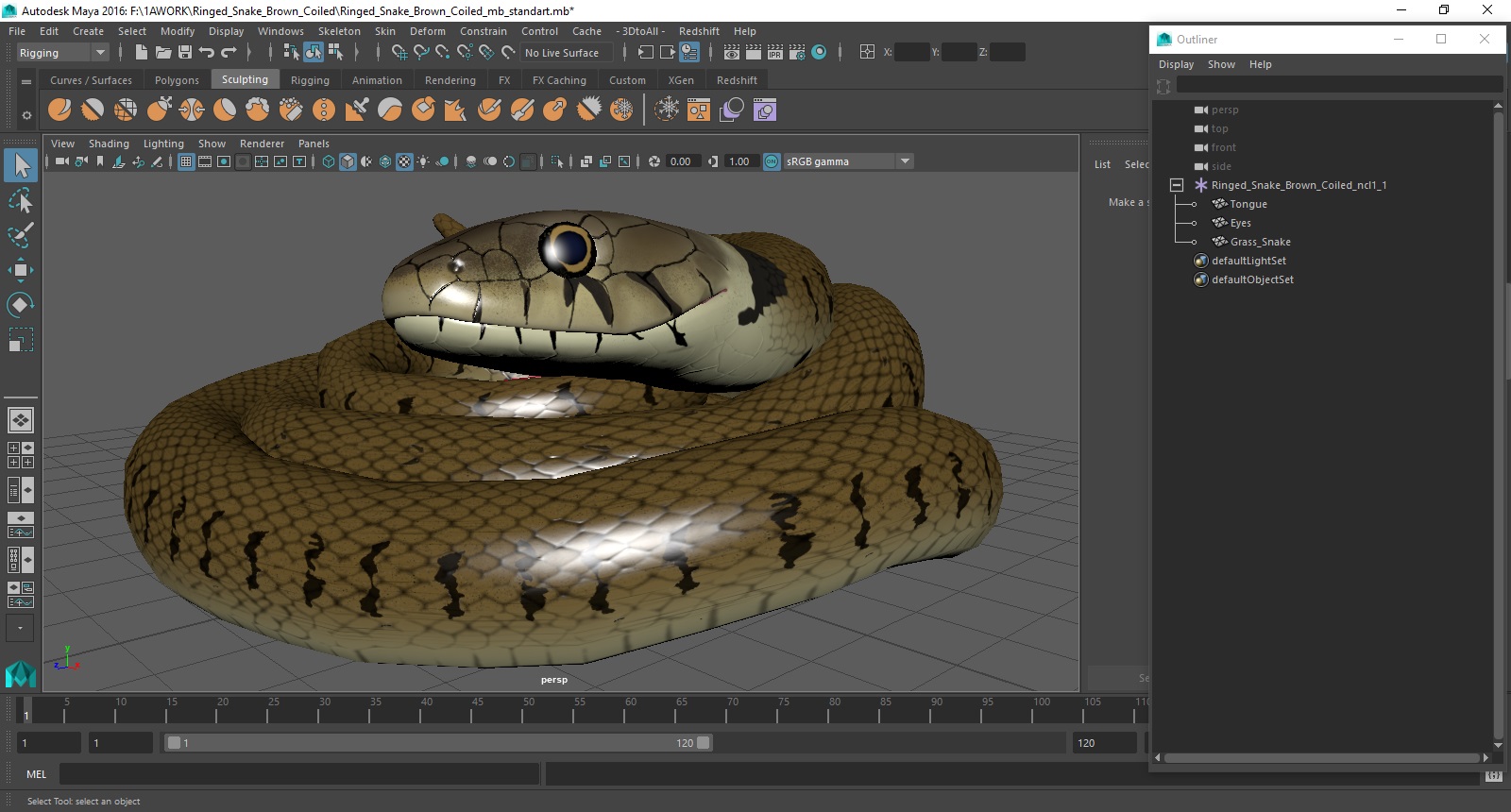 3D model Ringed Snake Brown Coiled