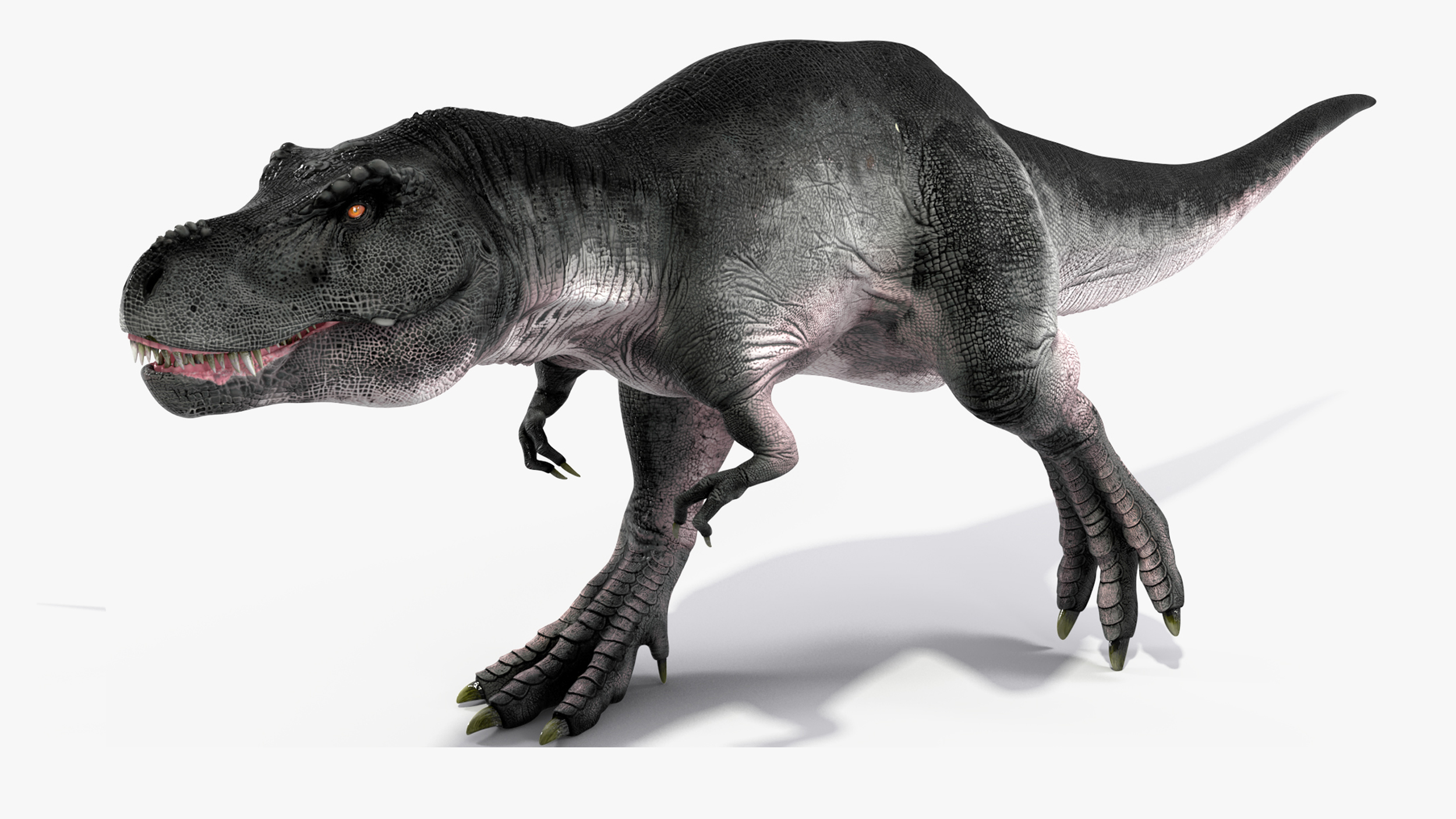 3D T Rex Running Animated Rigged for Cinema 4D model