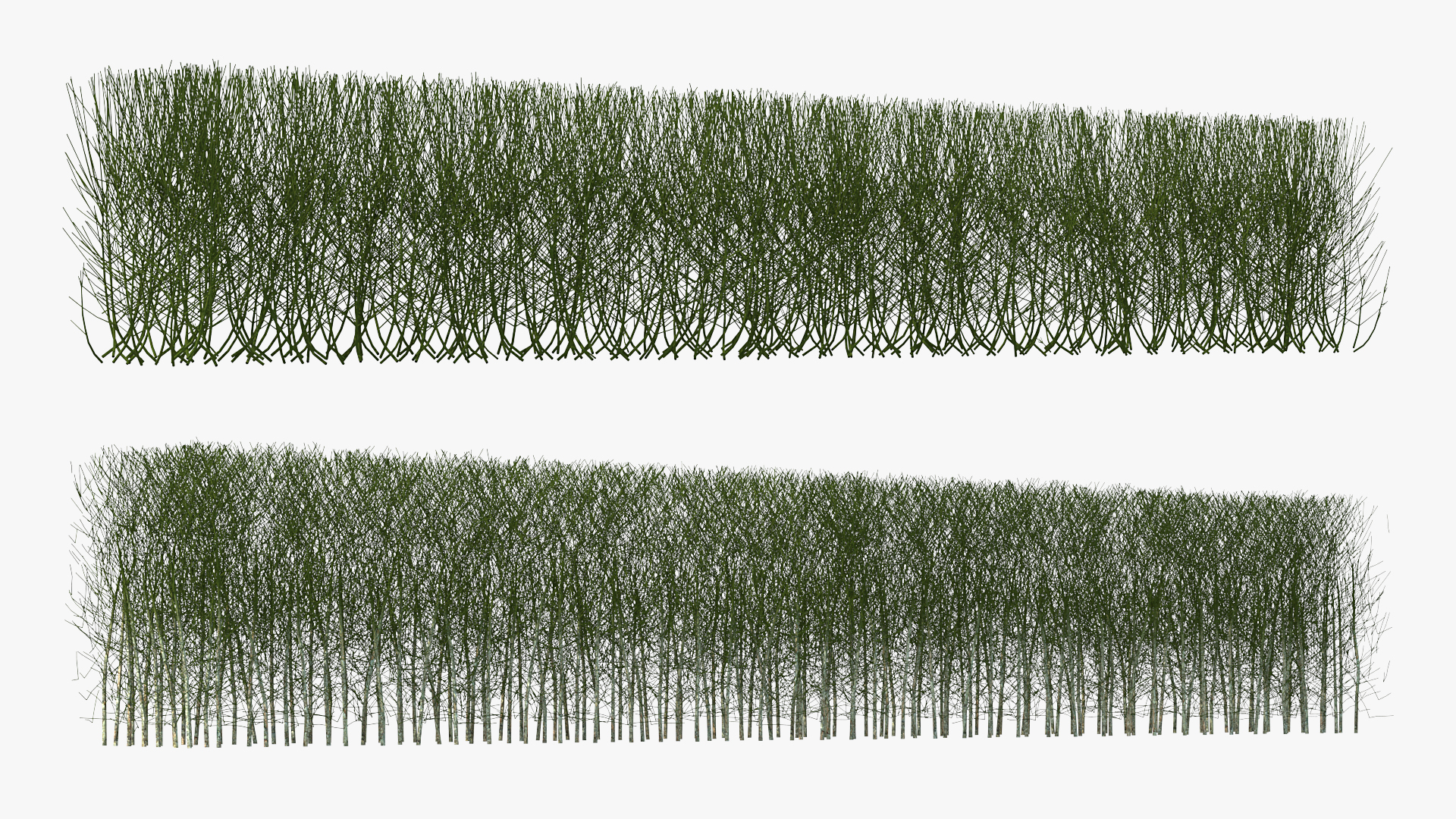 3D Shrub Branch Fence model