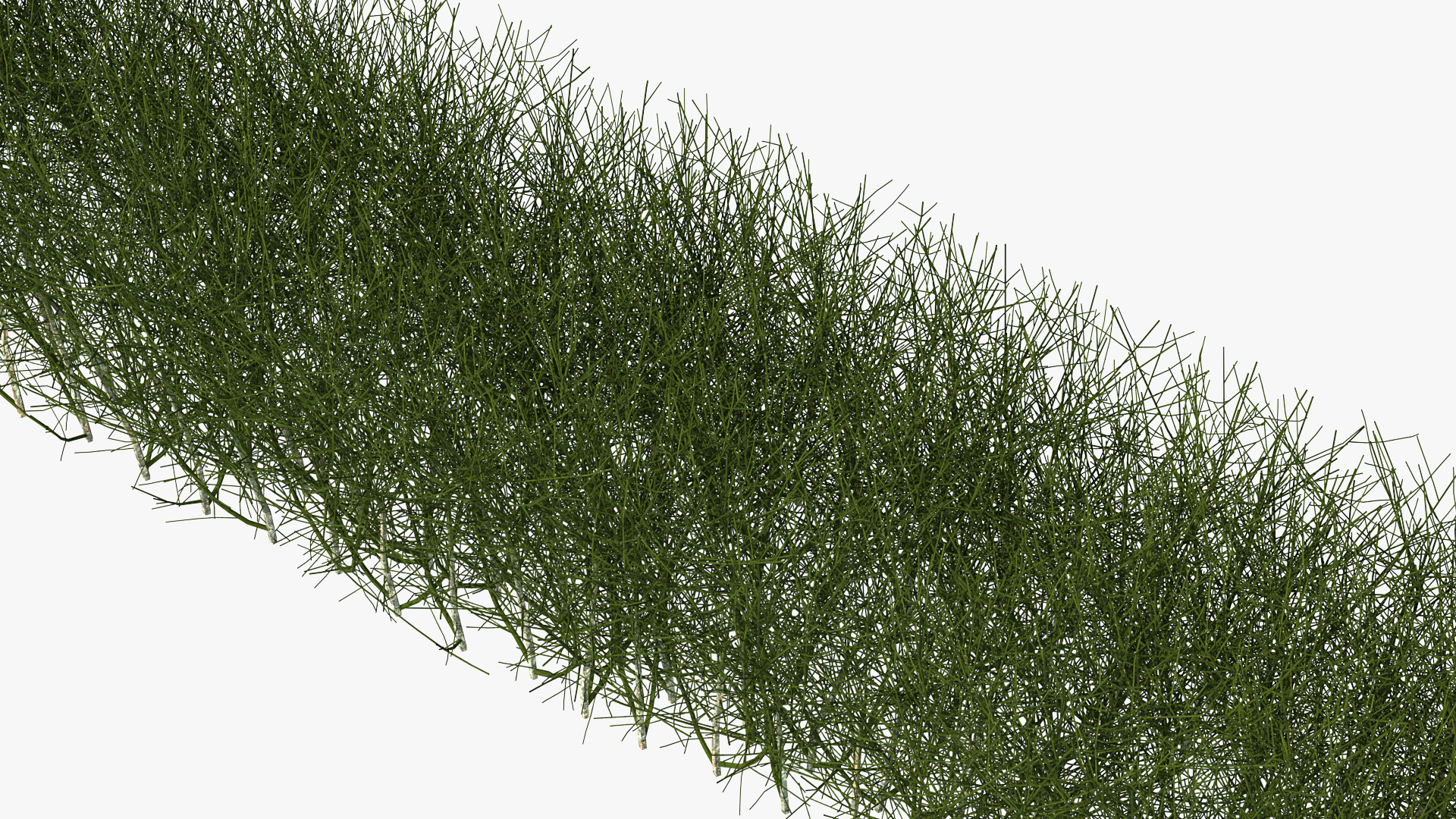 3D Shrub Branch Fence model