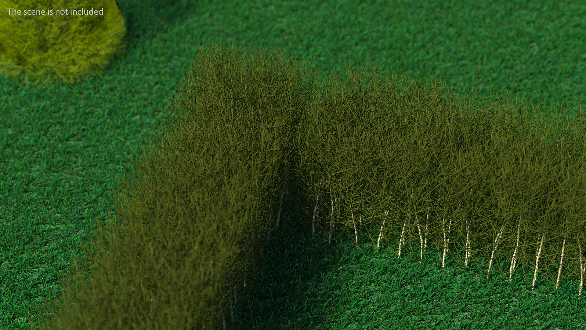 3D Shrub Branch Fence model