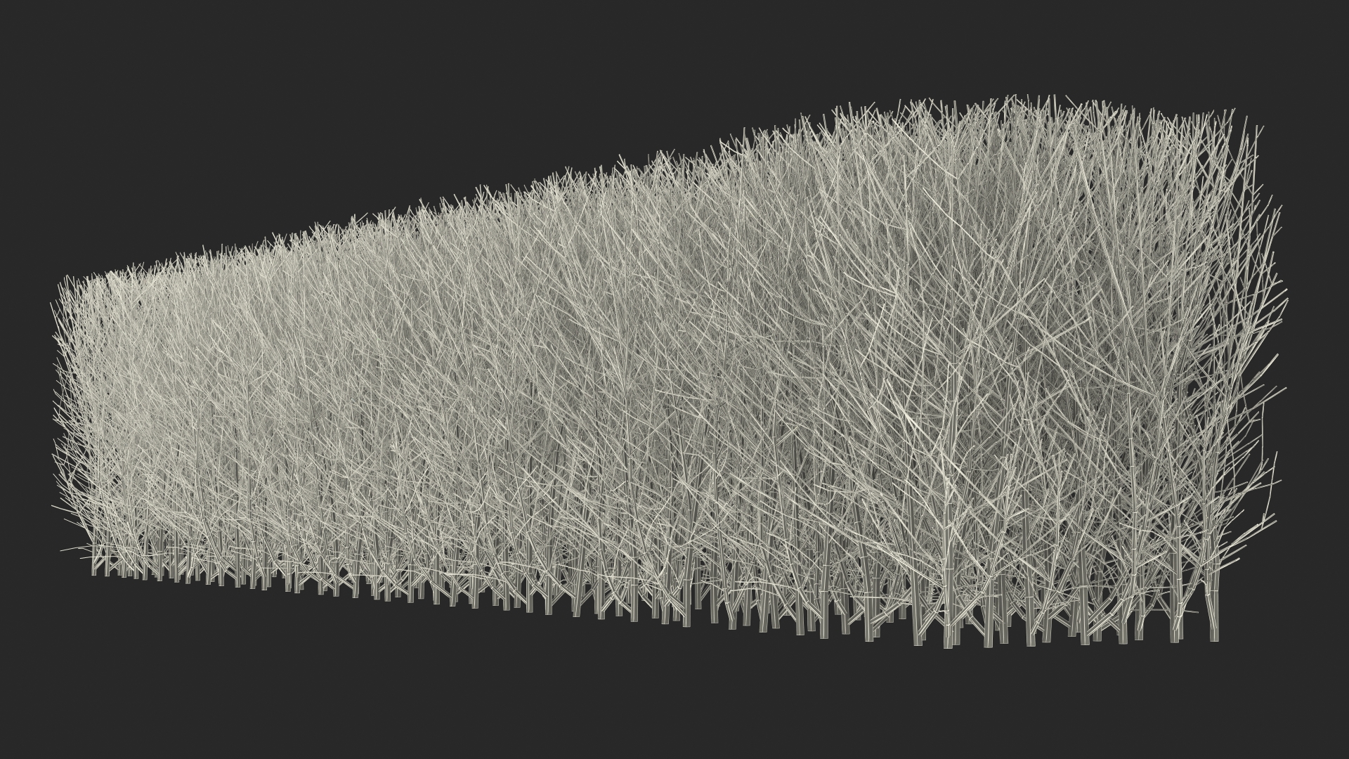 3D Shrub Branch Fence model