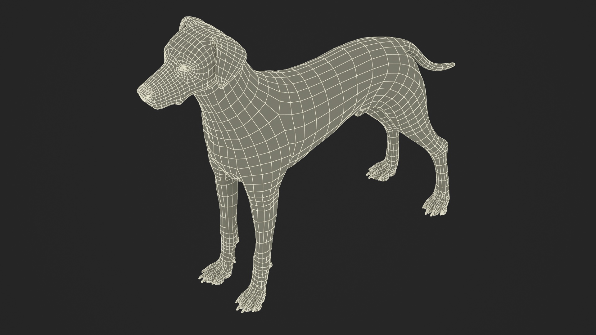 Dalmatian Dog Fur 3D