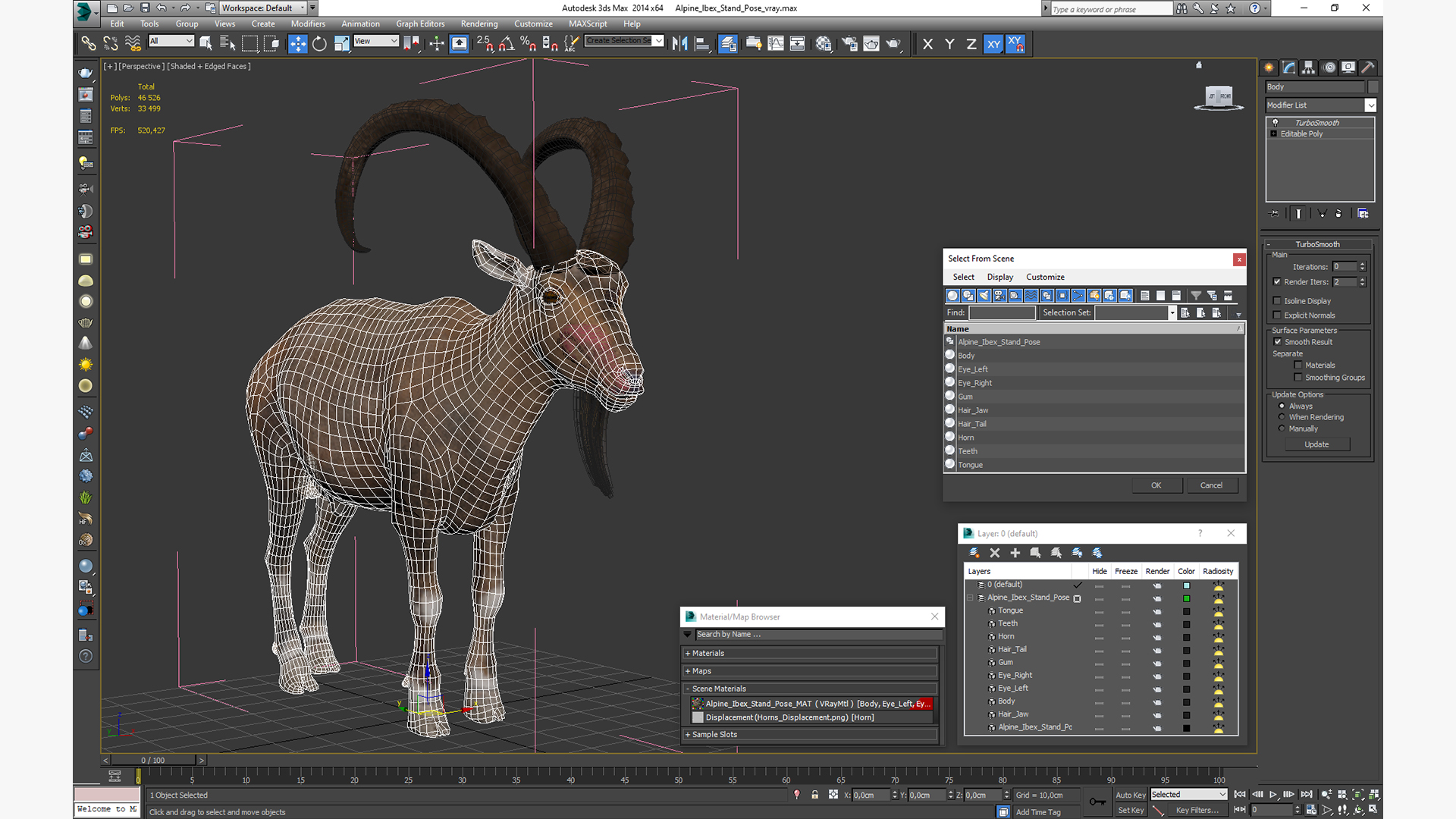 Alpine Ibex Stand Pose 3D