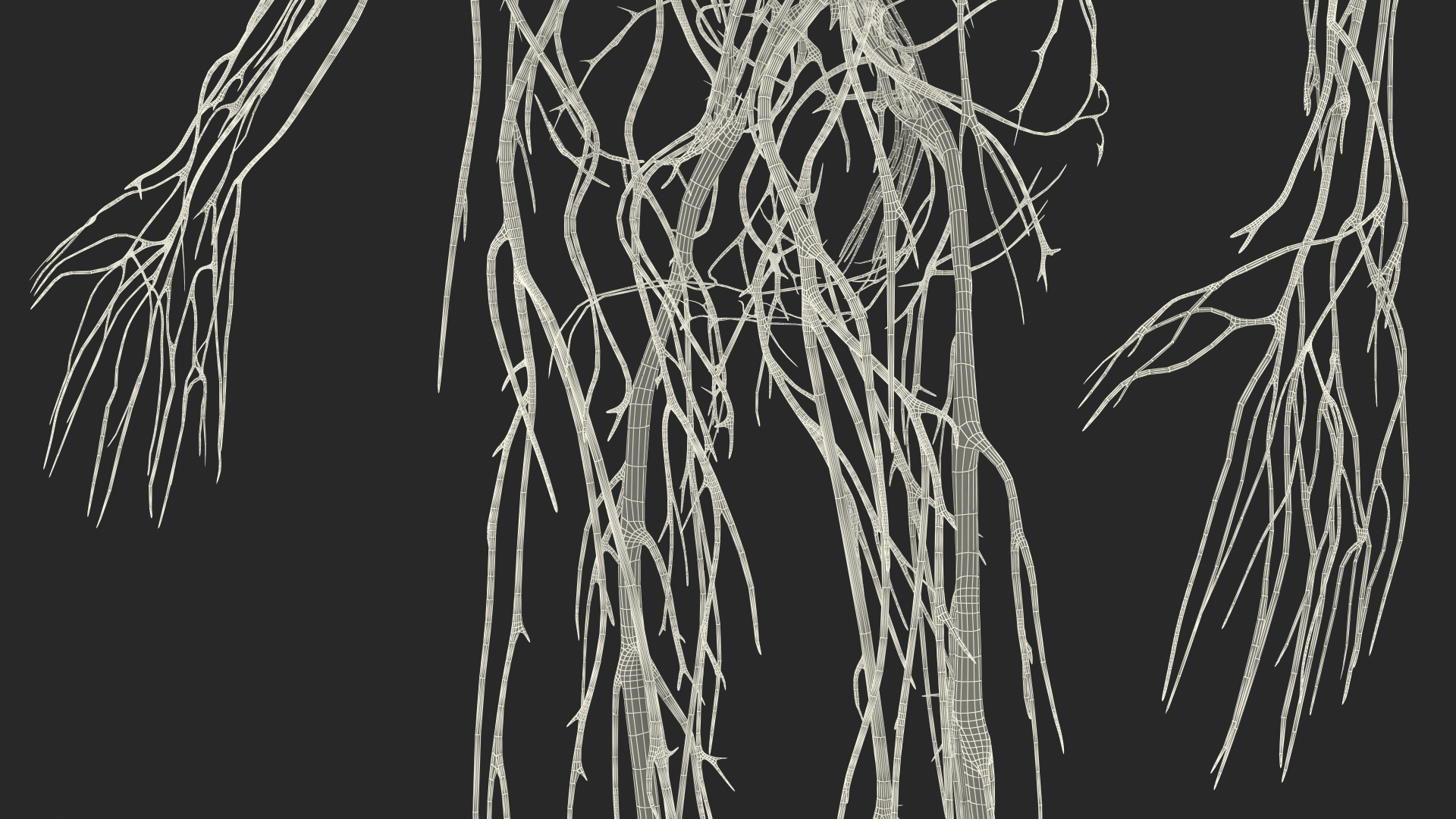 Young Boy Nervous System 3D model