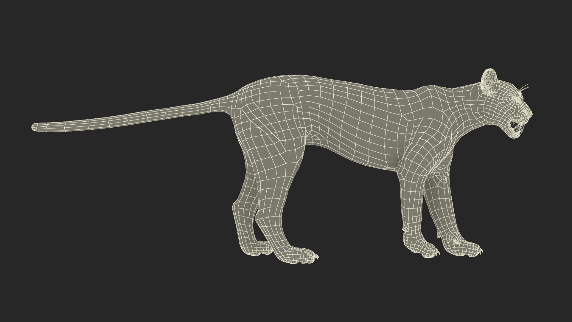 3D Snarling Puma model